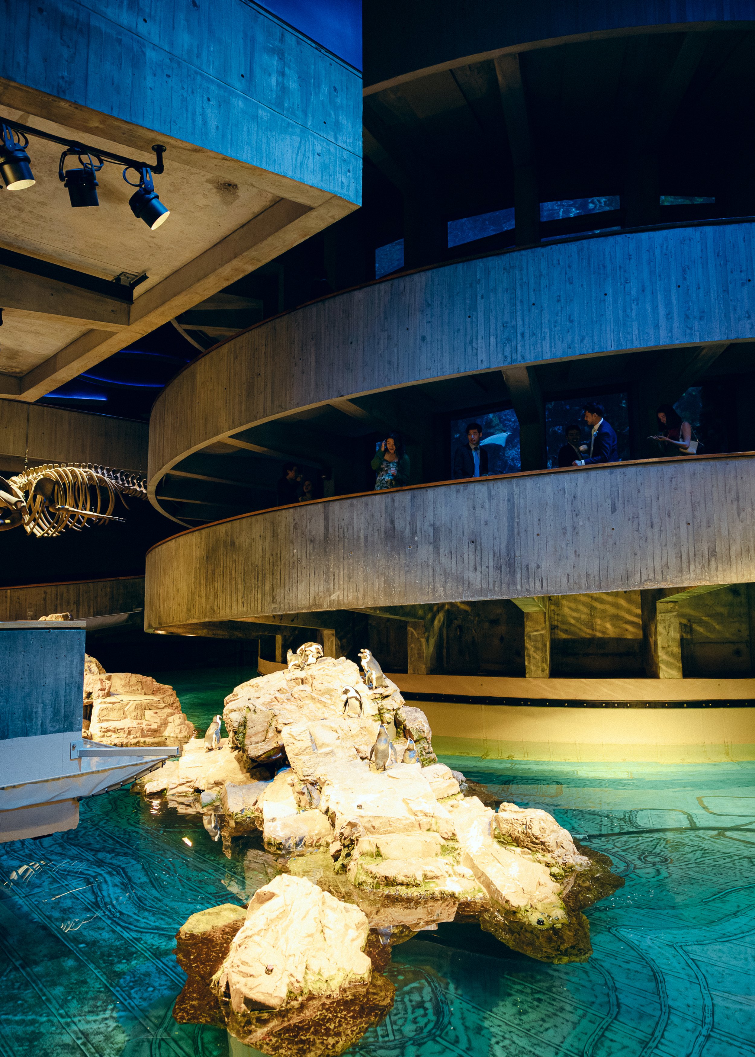 WhatCheerPhoto-Boston-Ma-NewEnglandAquarium-Wedding-ZhouSloate-2025-732.jpg