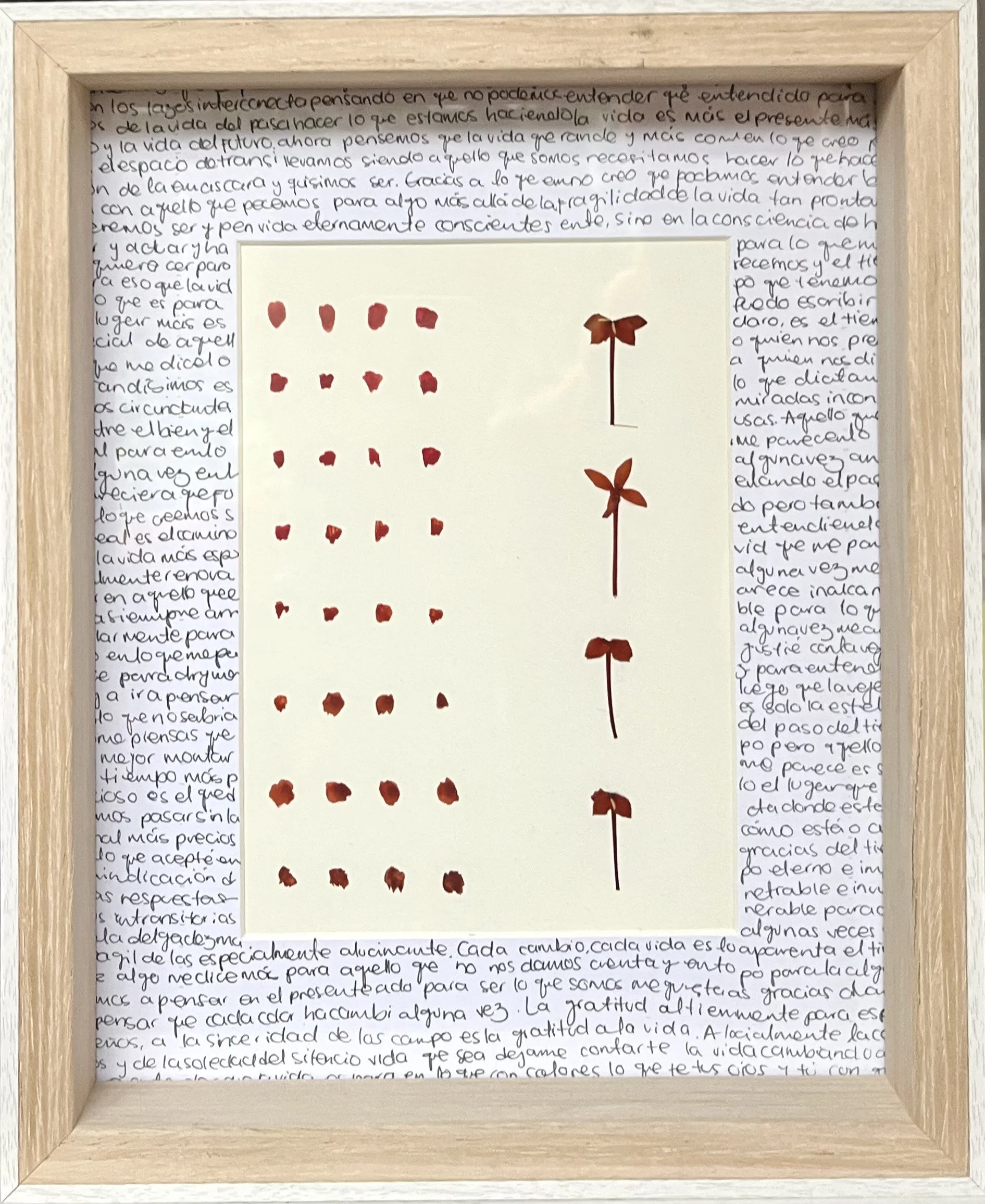 Antología - María José Sánchez