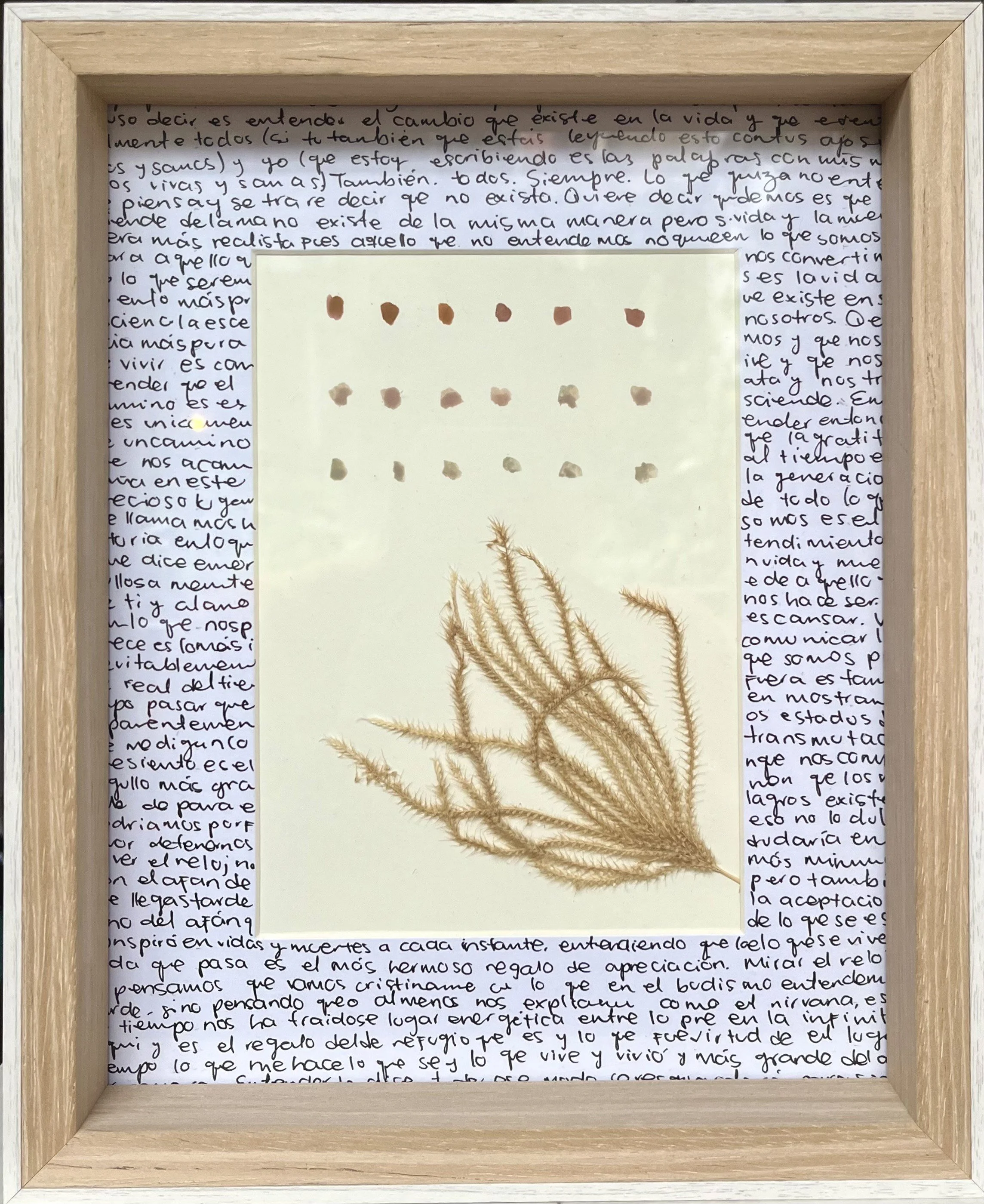 Antología
Dimensiones 25 x 35