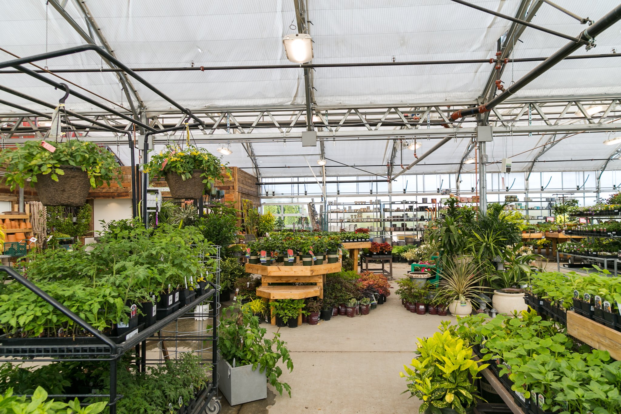 Guho-Greenhouse-photos-1.jpg