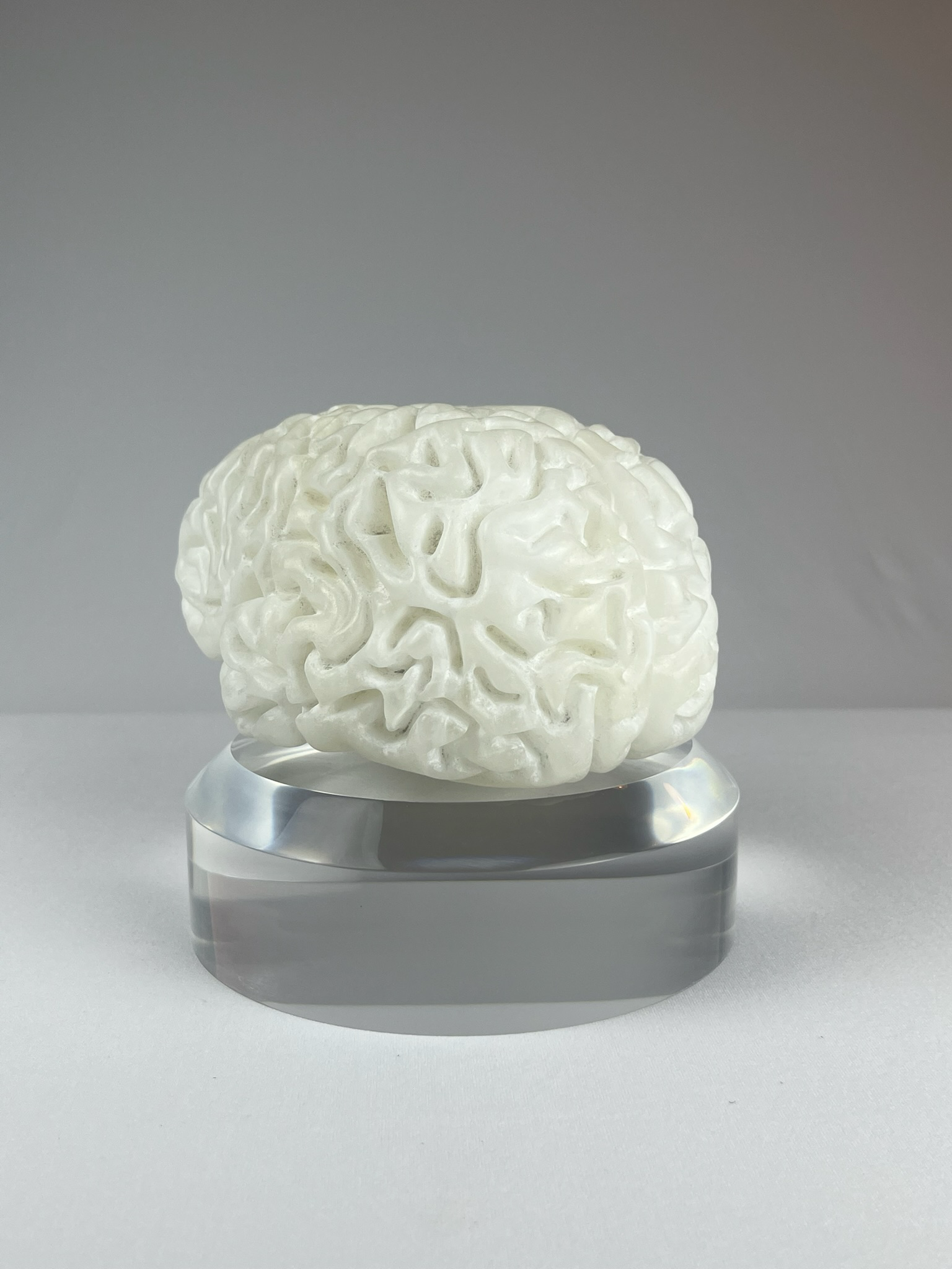 Cervello No. 1 "White Matter", 2025, alabaster, 15 x 13 x 10 cm / 6 x 5 x 4 in.
