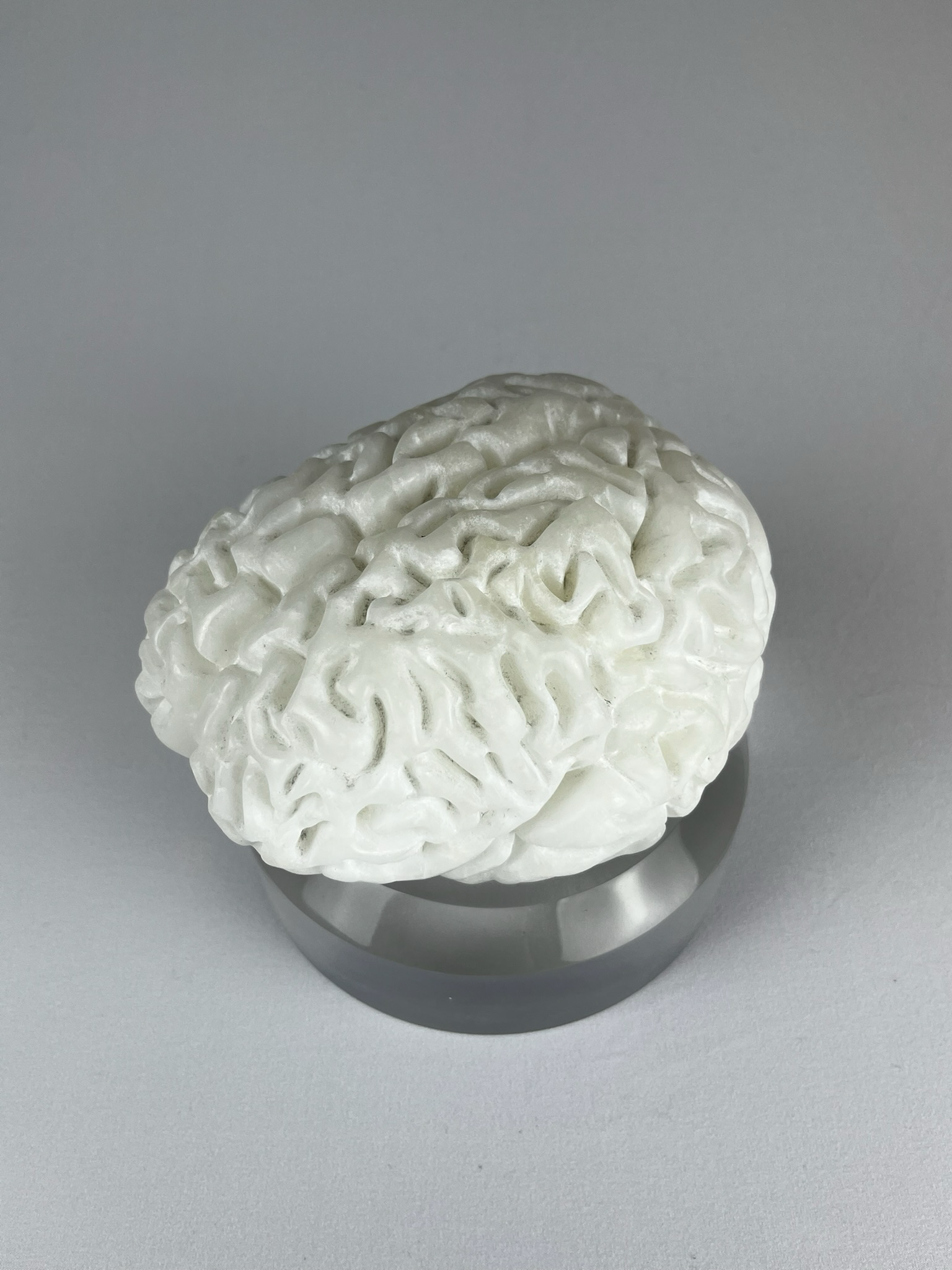 Cervello No. 1 "White Matter", 2025, alabaster, 15 x 13 x 10 cm / 6 x 5 x 4 in.