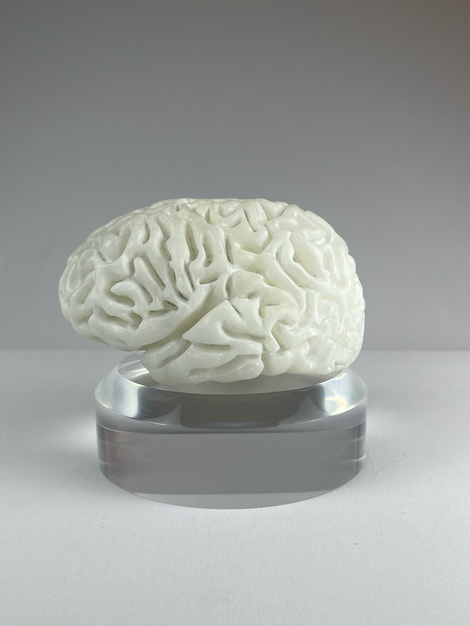 Cervello No. 1 "White Matter", 2025, alabaster, 15 x 13 x 10 cm / 6 x 5 x 4 in.