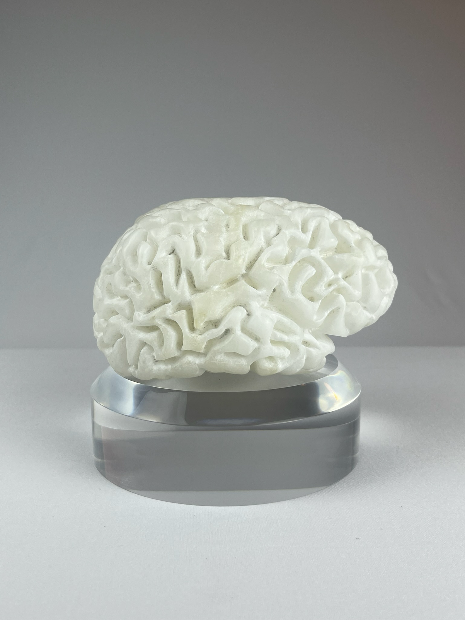 Cervello No. 1 "White Matter", 2025, alabaster, 15 x 13 x 10 cm / 6 x 5 x 4 in.