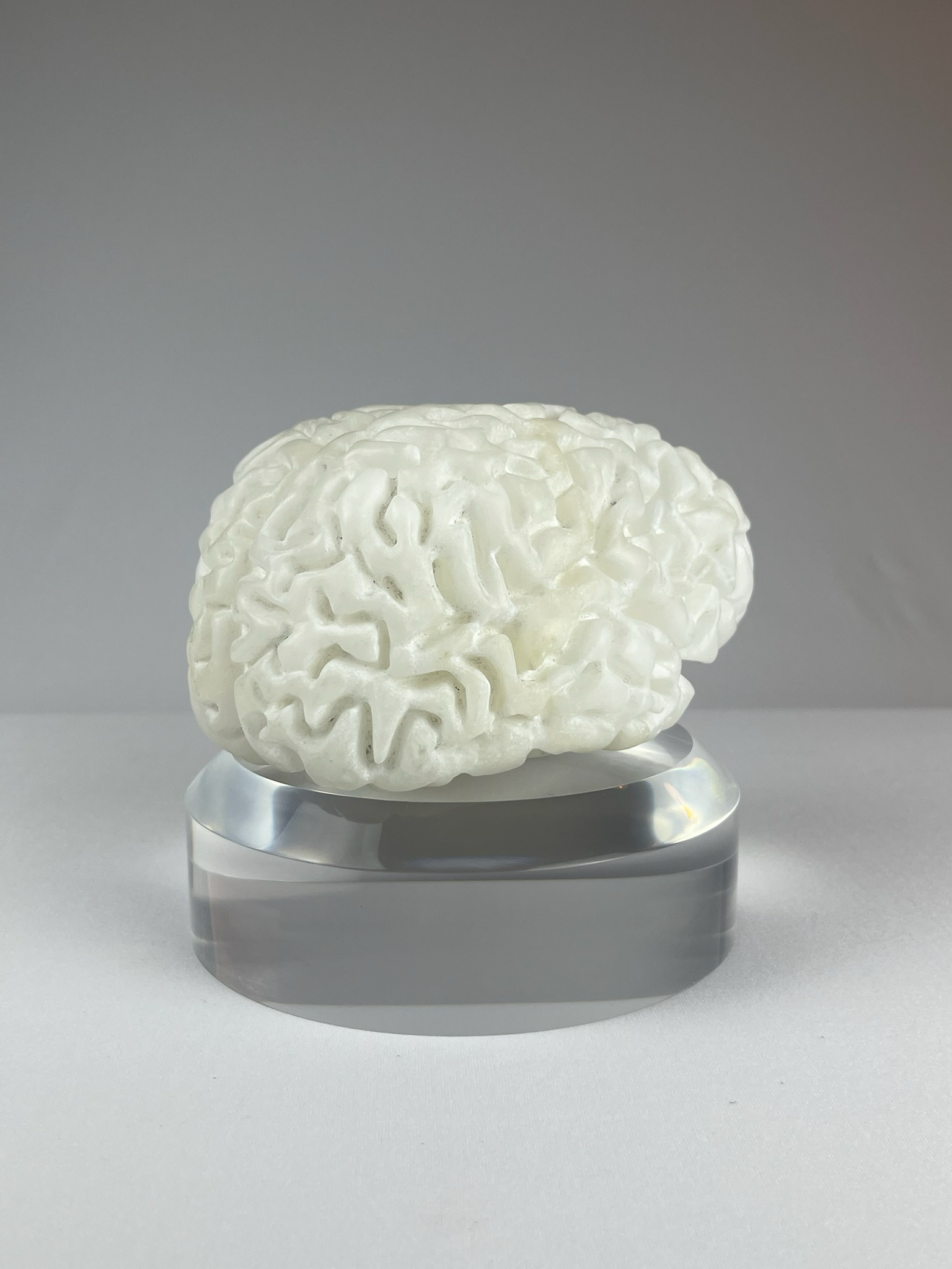Cervello No. 1 "White Matter", 2025, alabaster, 15 x 13 x 10 cm / 6 x 5 x 4 in.