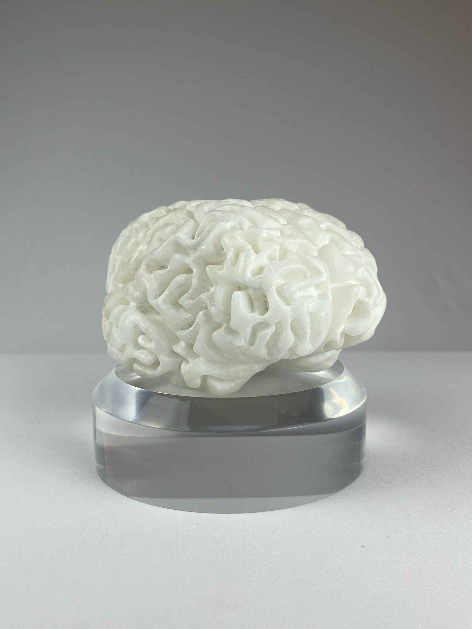 Cervello No. 1 "White Matter", 2025, alabaster, 15 x 13 x 10 cm / 6 x 5 x 4 in.