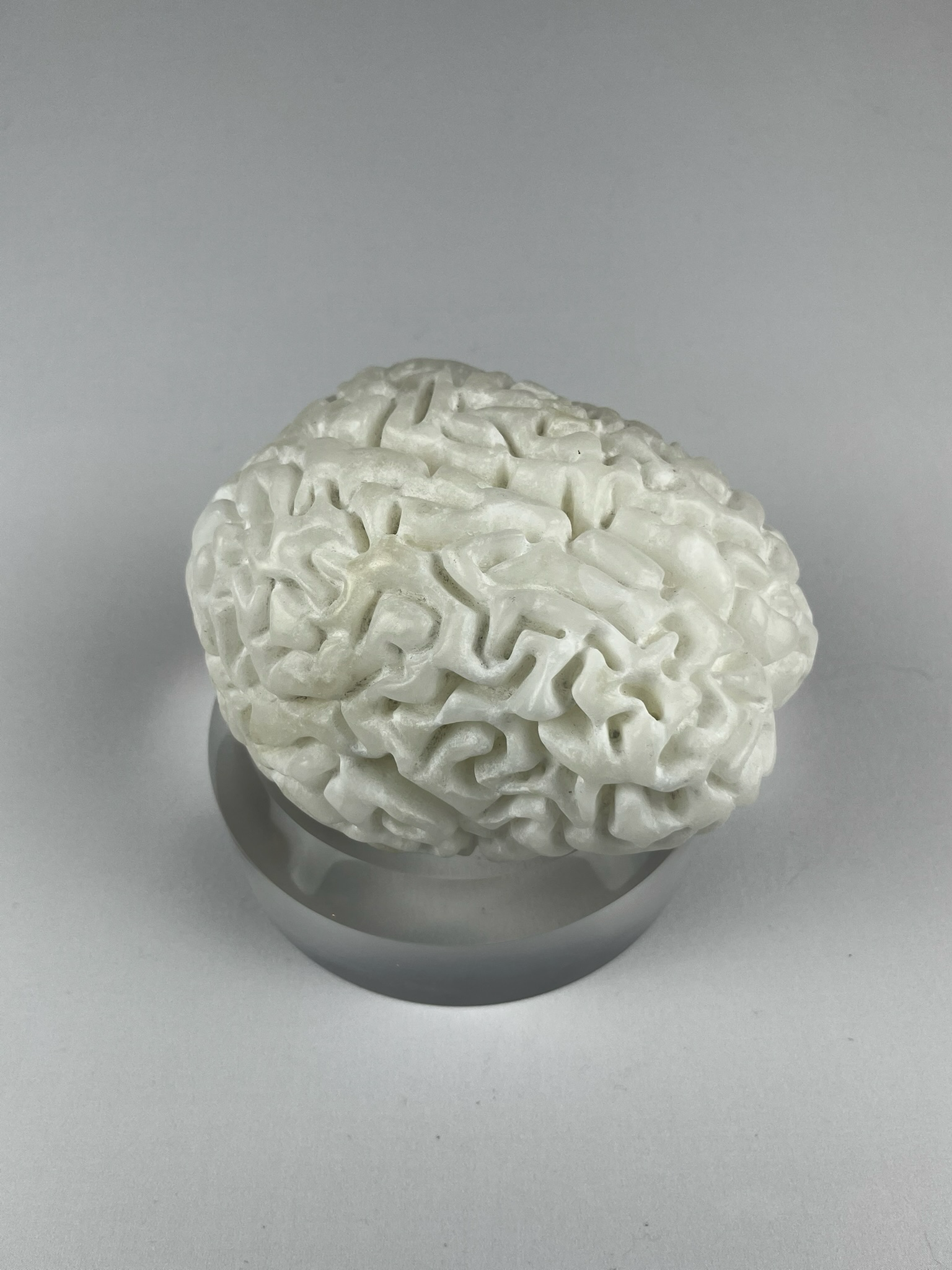 Cervello No. 1 "White Matter", 2025, alabaster, 15 x 13 x 10 cm / 6 x 5 x 4 in.