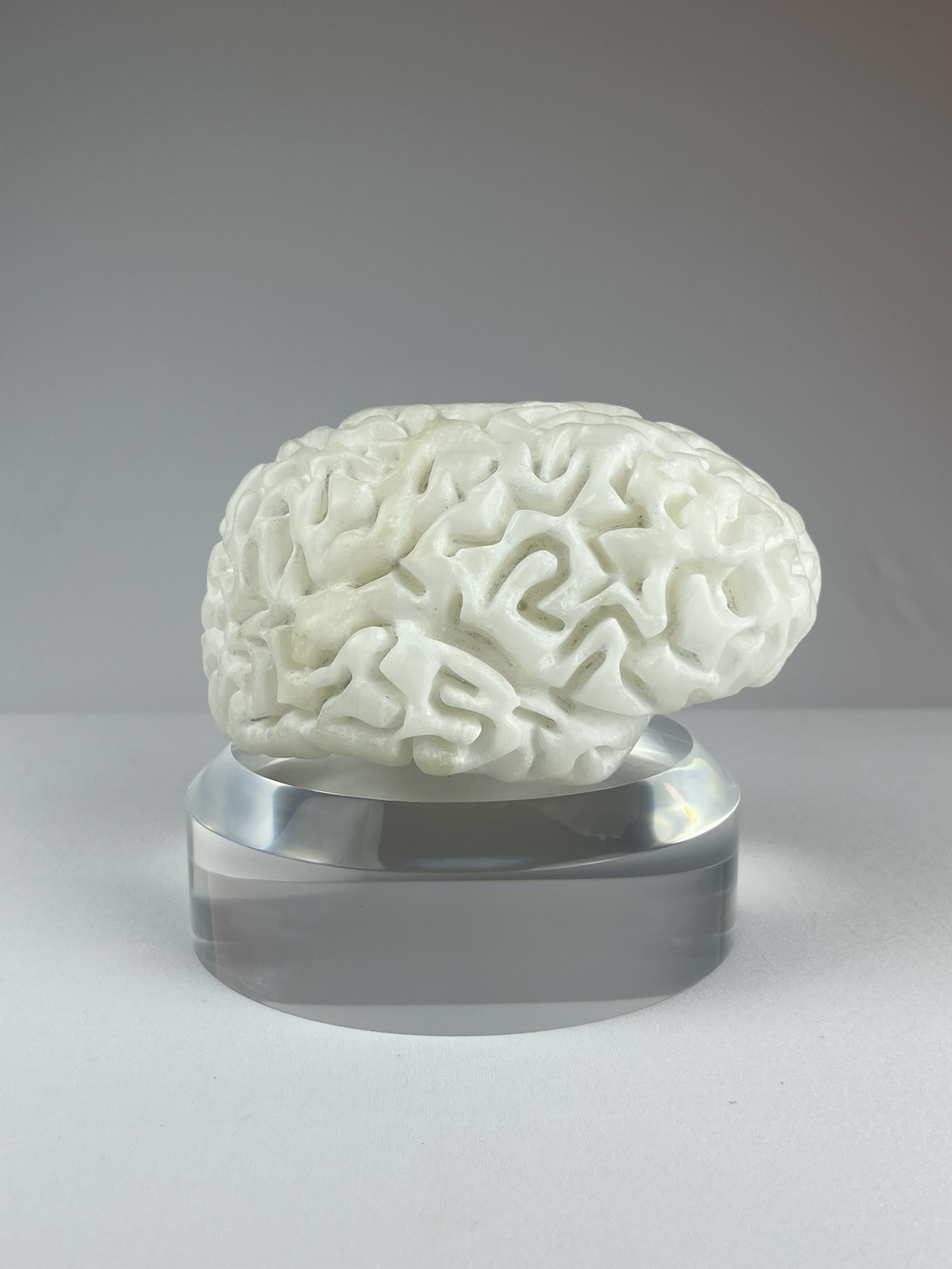 Cervello No. 1 "White Matter", 2025, alabaster, 15 x 13 x 10 cm / 6 x 5 x 4 in.