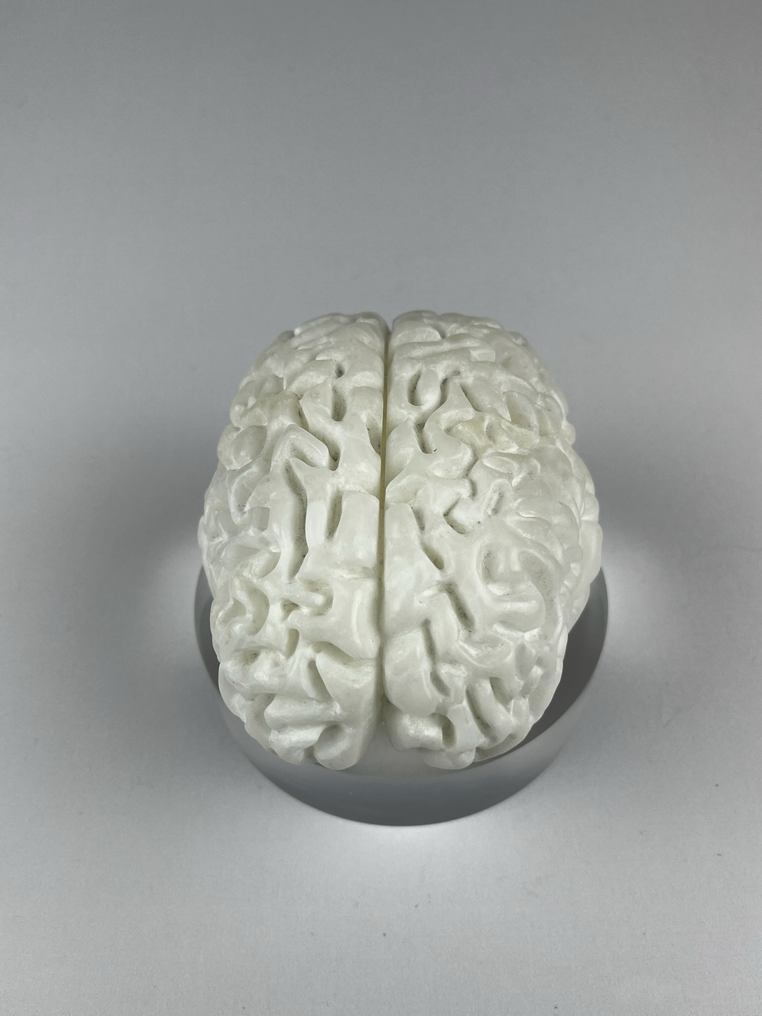 Cervello No. 1 "White Matter", 2025, alabaster, 15 x 13 x 10 cm / 6 x 5 x 4 in.