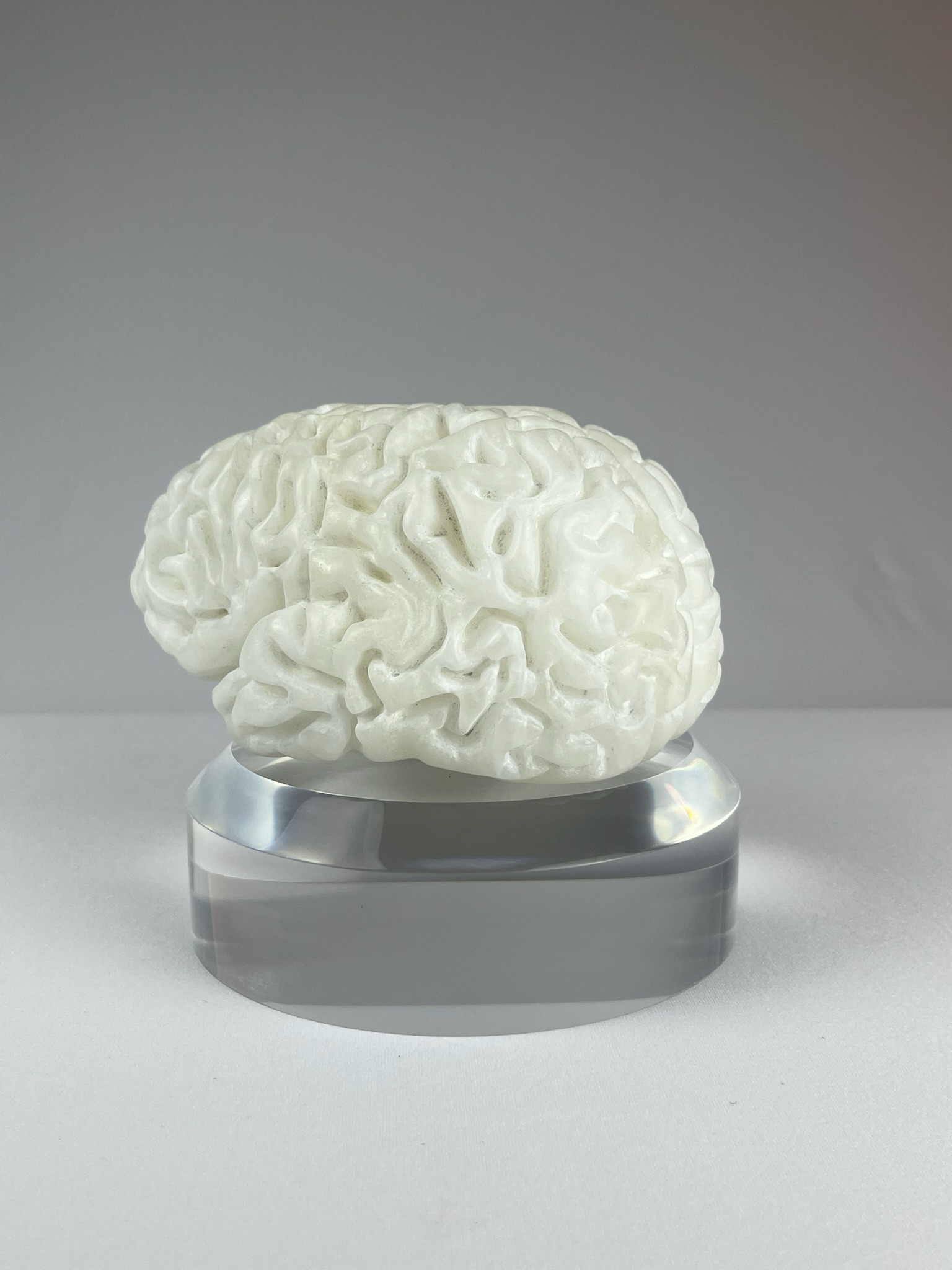 Cervello No. 1 "White Matter", 2025, alabaster, 15 x 13 x 10 cm / 6 x 5 x 4 in.
