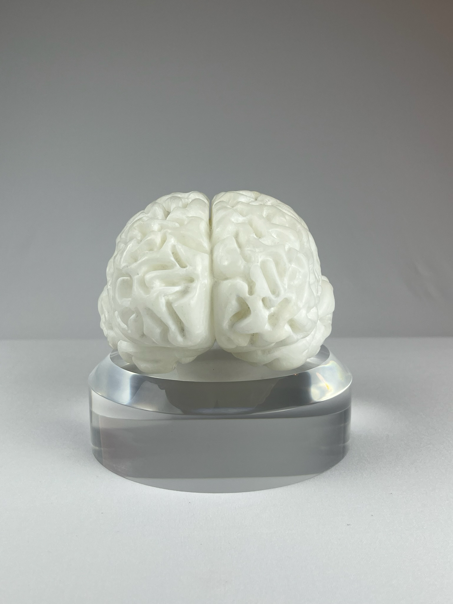 Cervello No. 1 "White Matter", 2025, alabaster, 15 x 13 x 10 cm / 6 x 5 x 4 in.