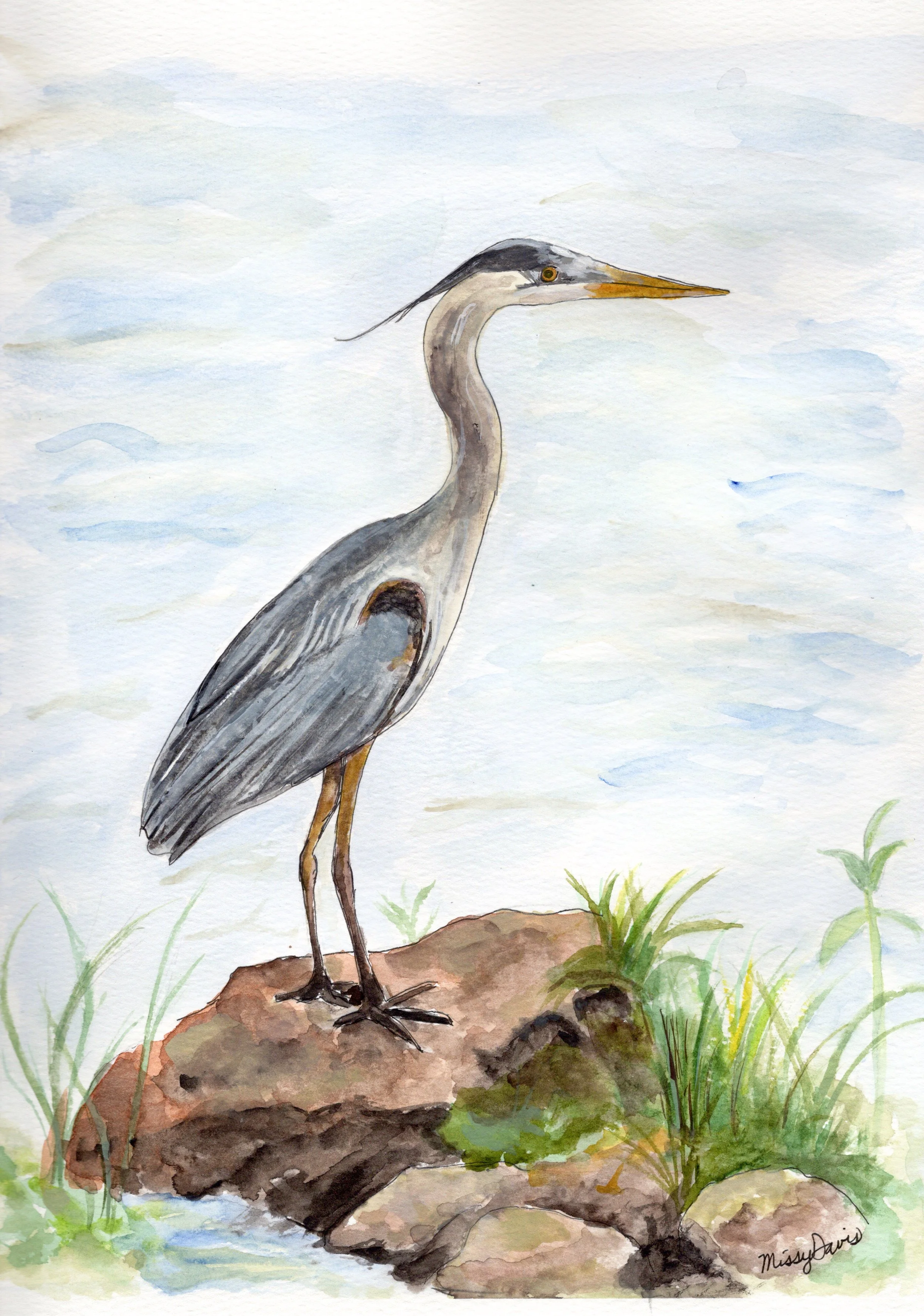 blue herron.jpg
