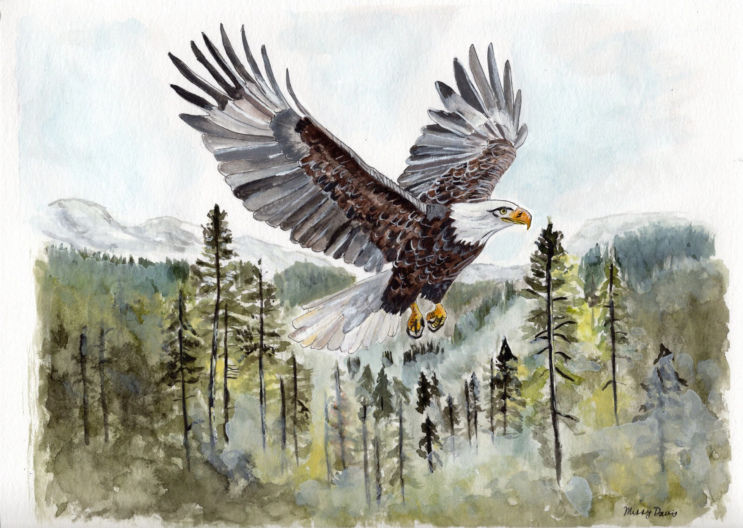 eagle in flight.jpeg