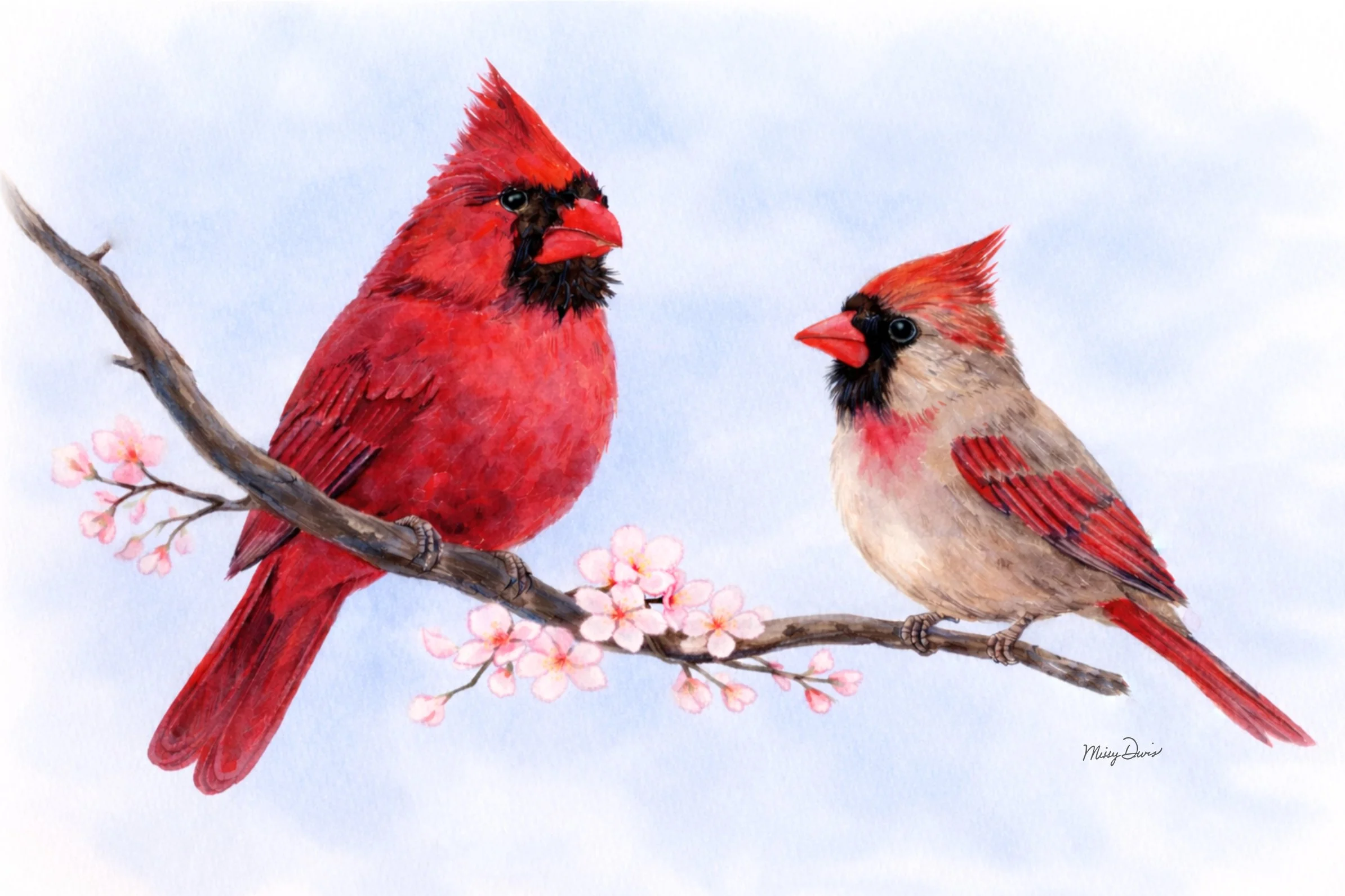 two+cardinals+on+branch.png