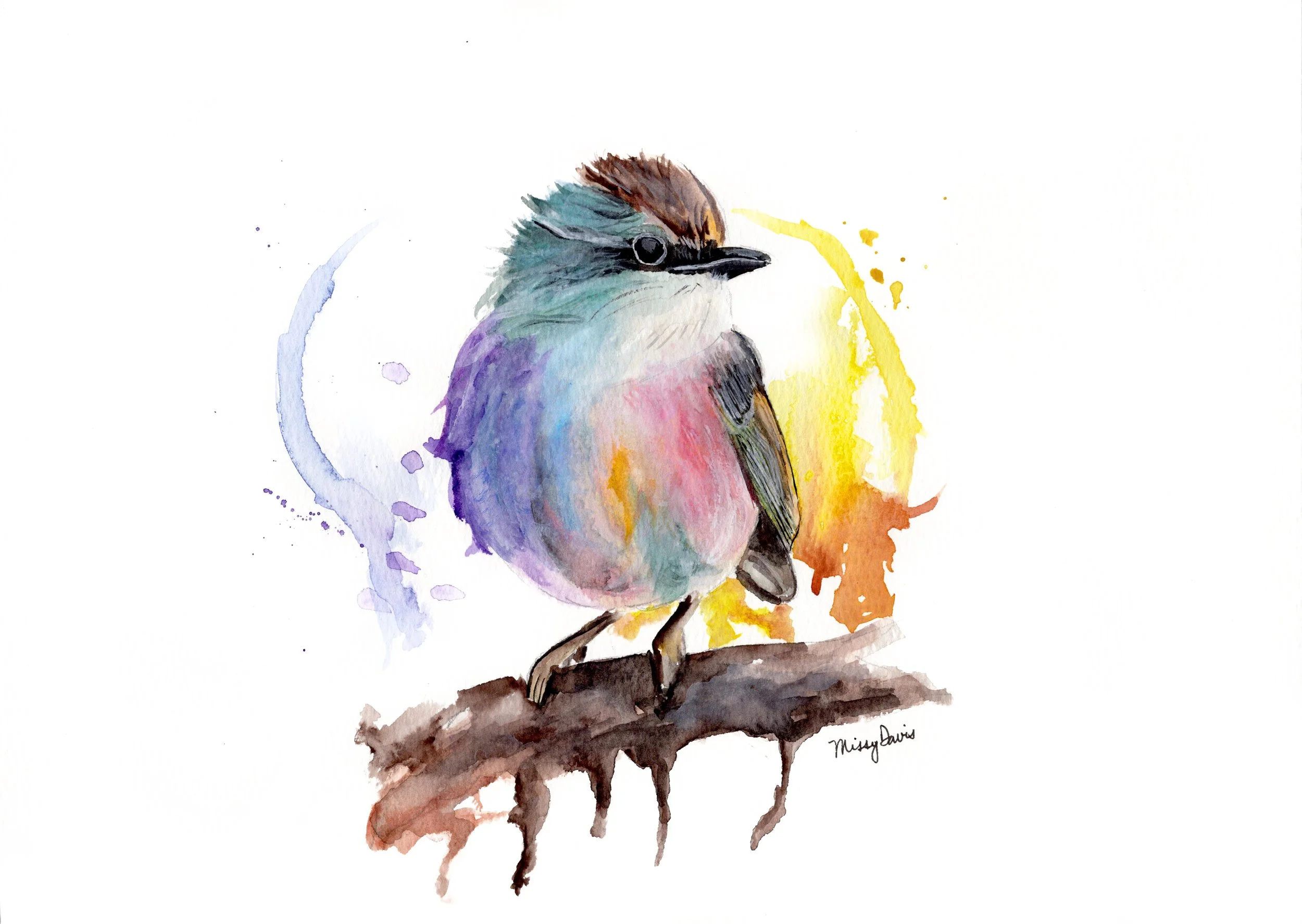 multi color bird.jpeg