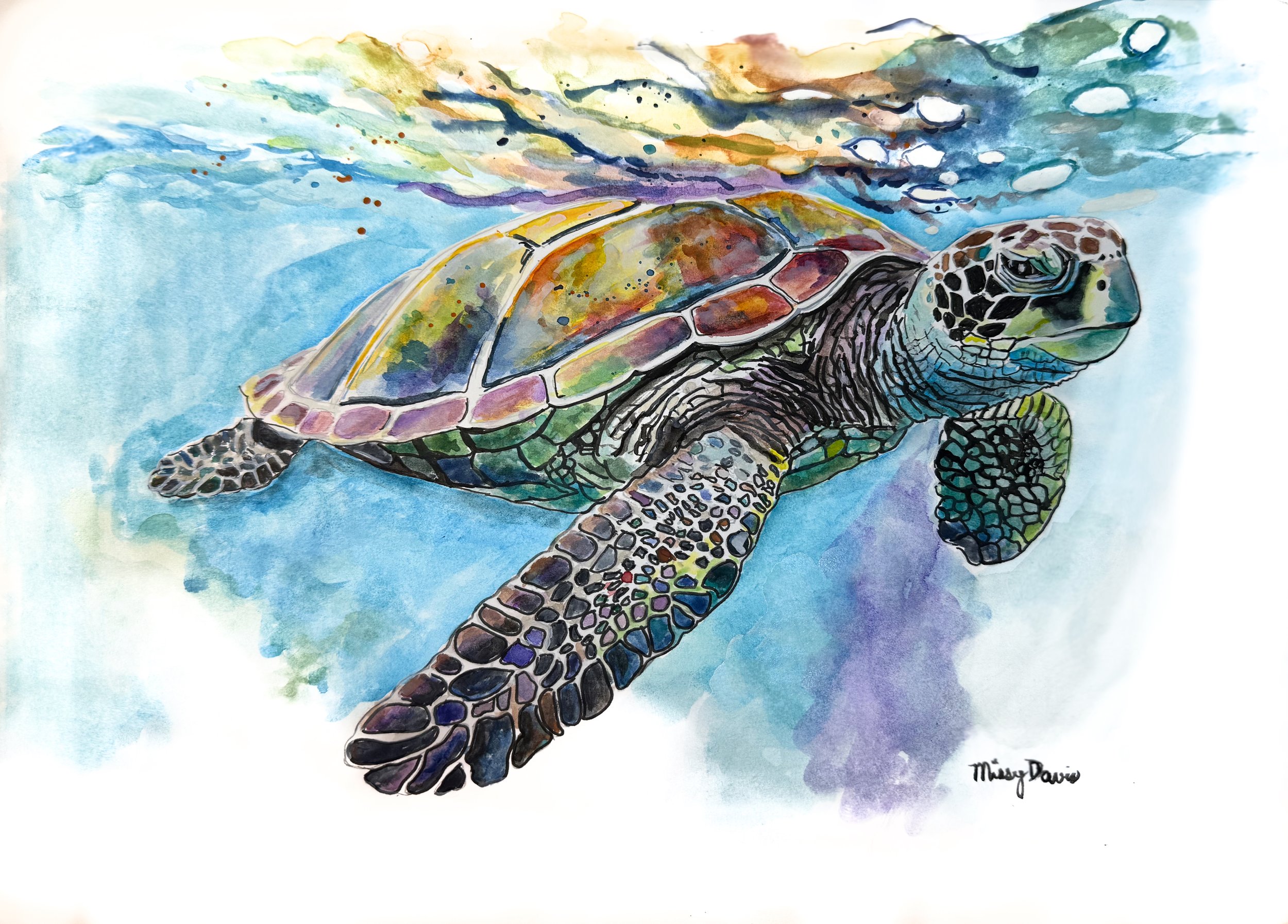 seaturtlecolorful(1).jpeg