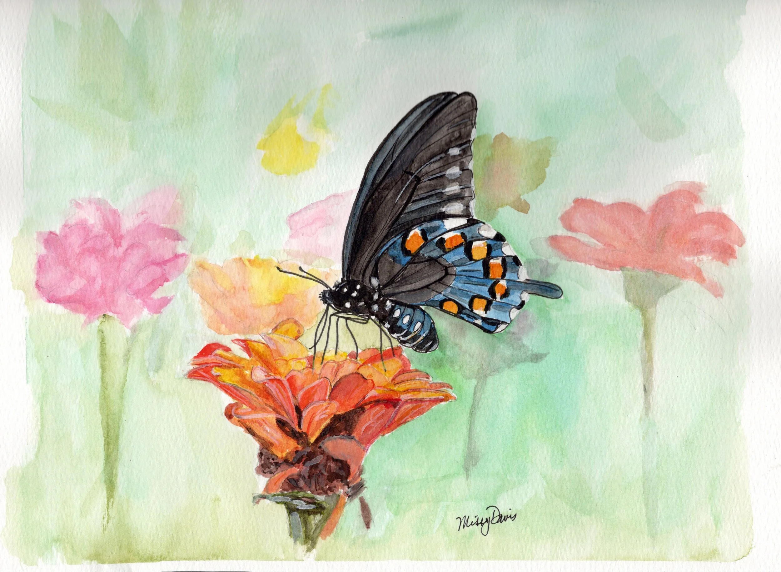 black yellow swallow.jpeg