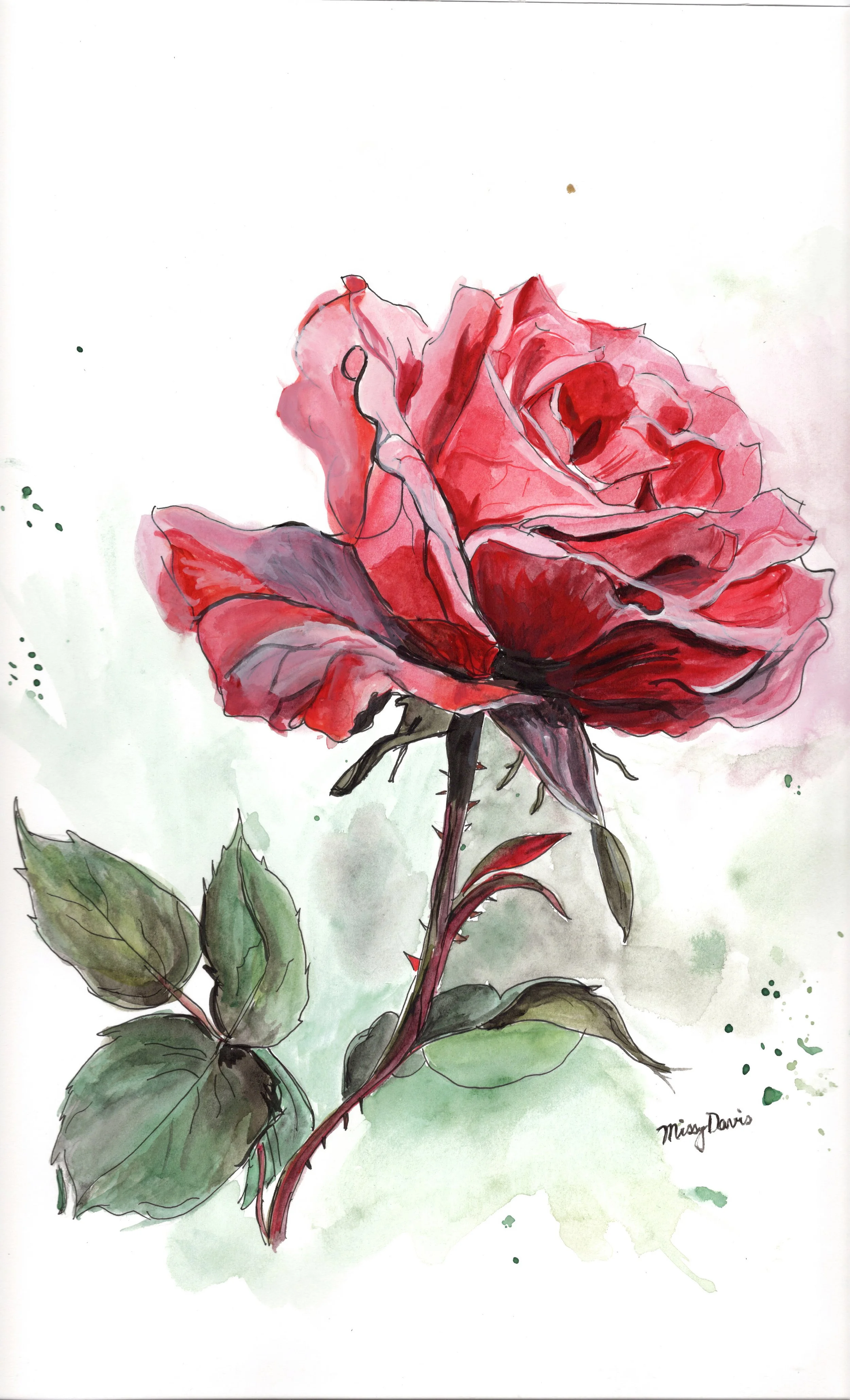 red rose.2 update.jpg