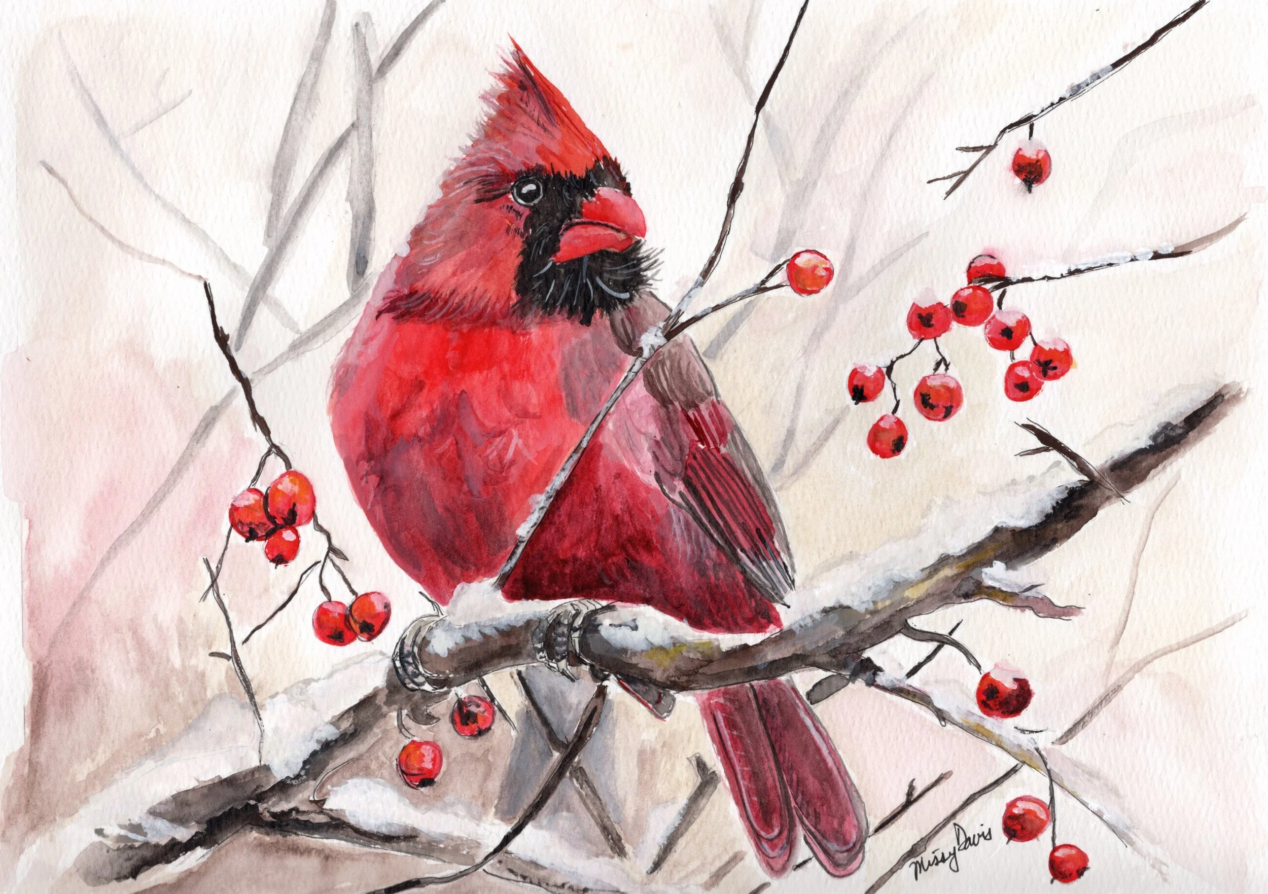 Winter Cardinal.jpeg
