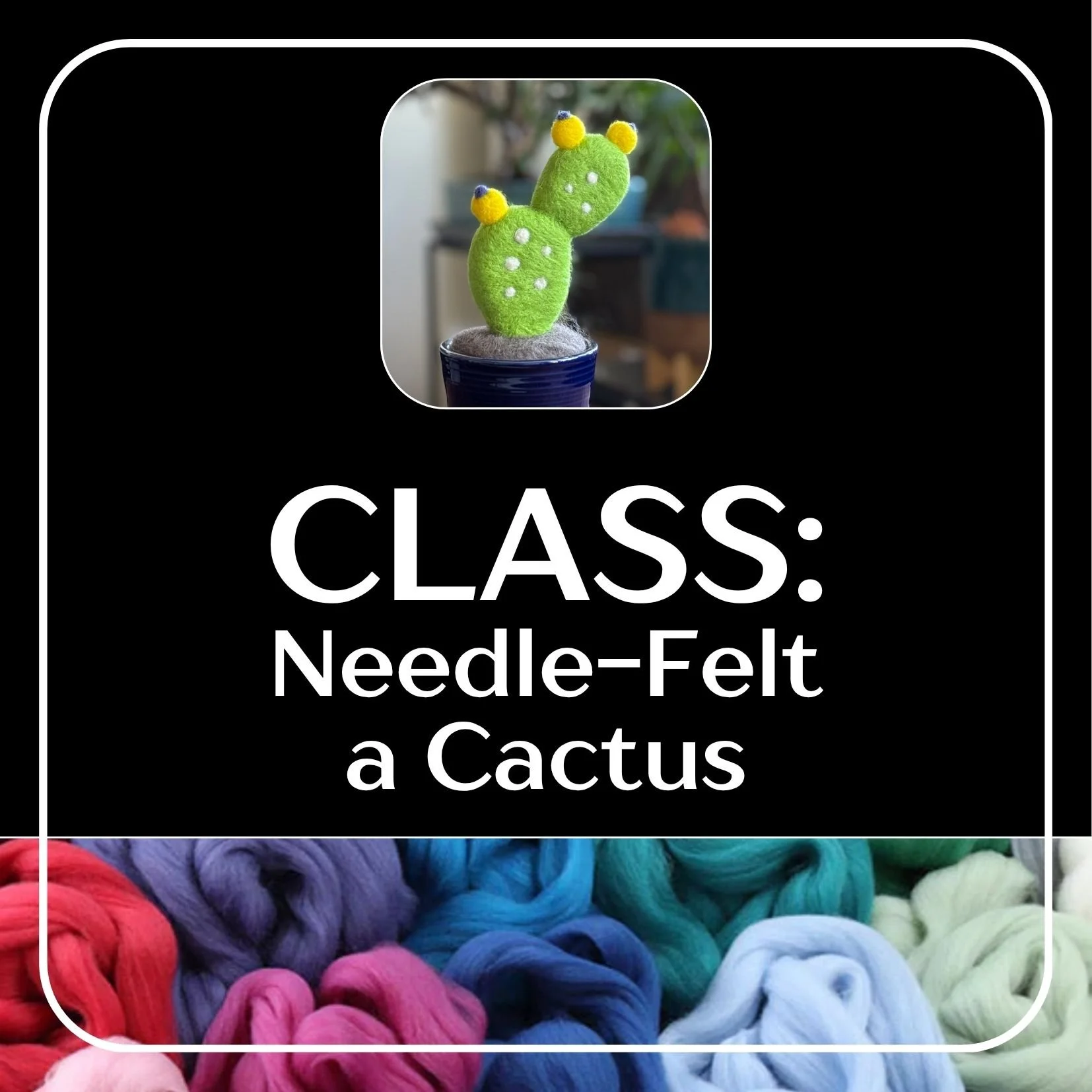 Class Options_Cactus.jpg