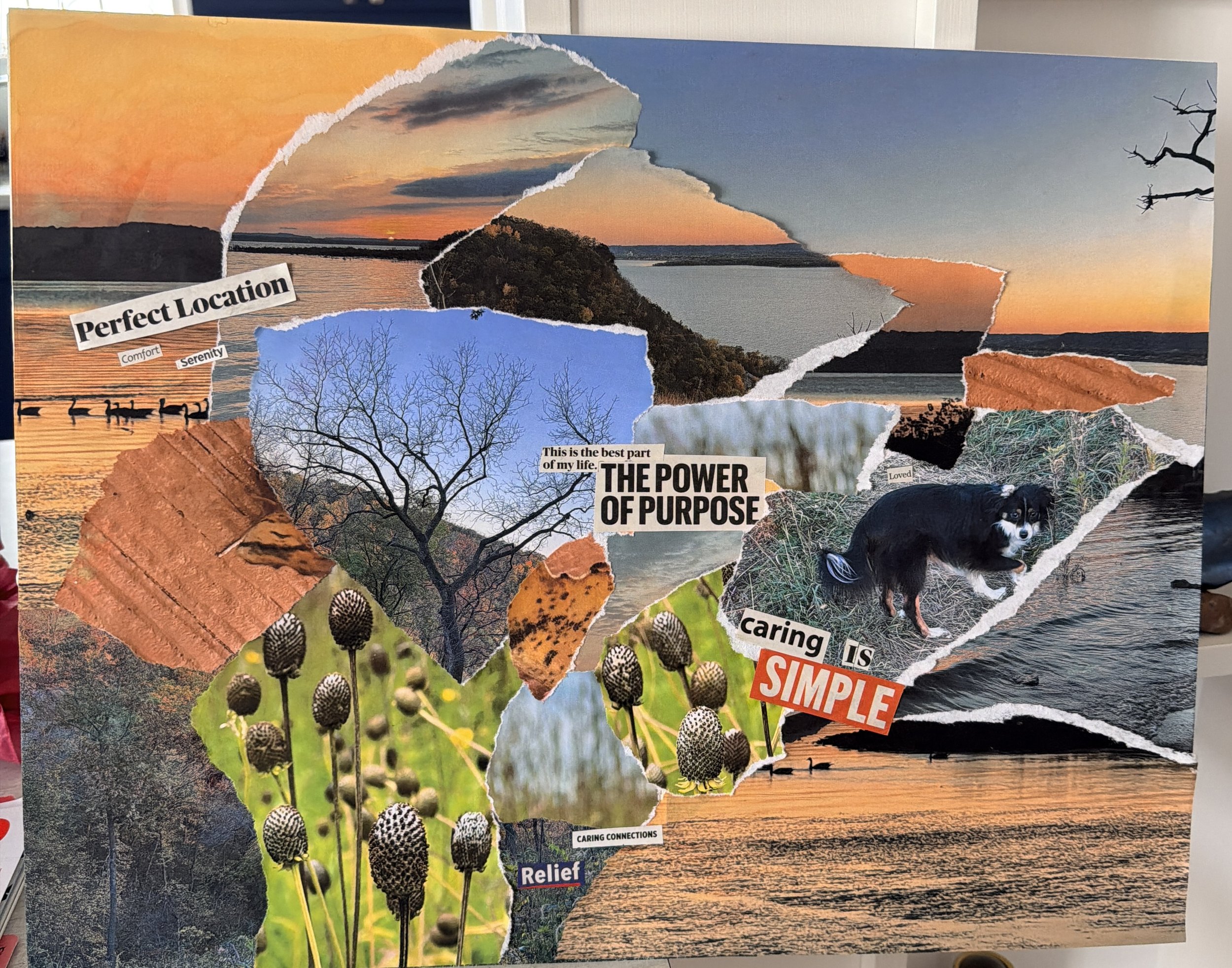 Nature Inspired: A Mindful Collage Workshop