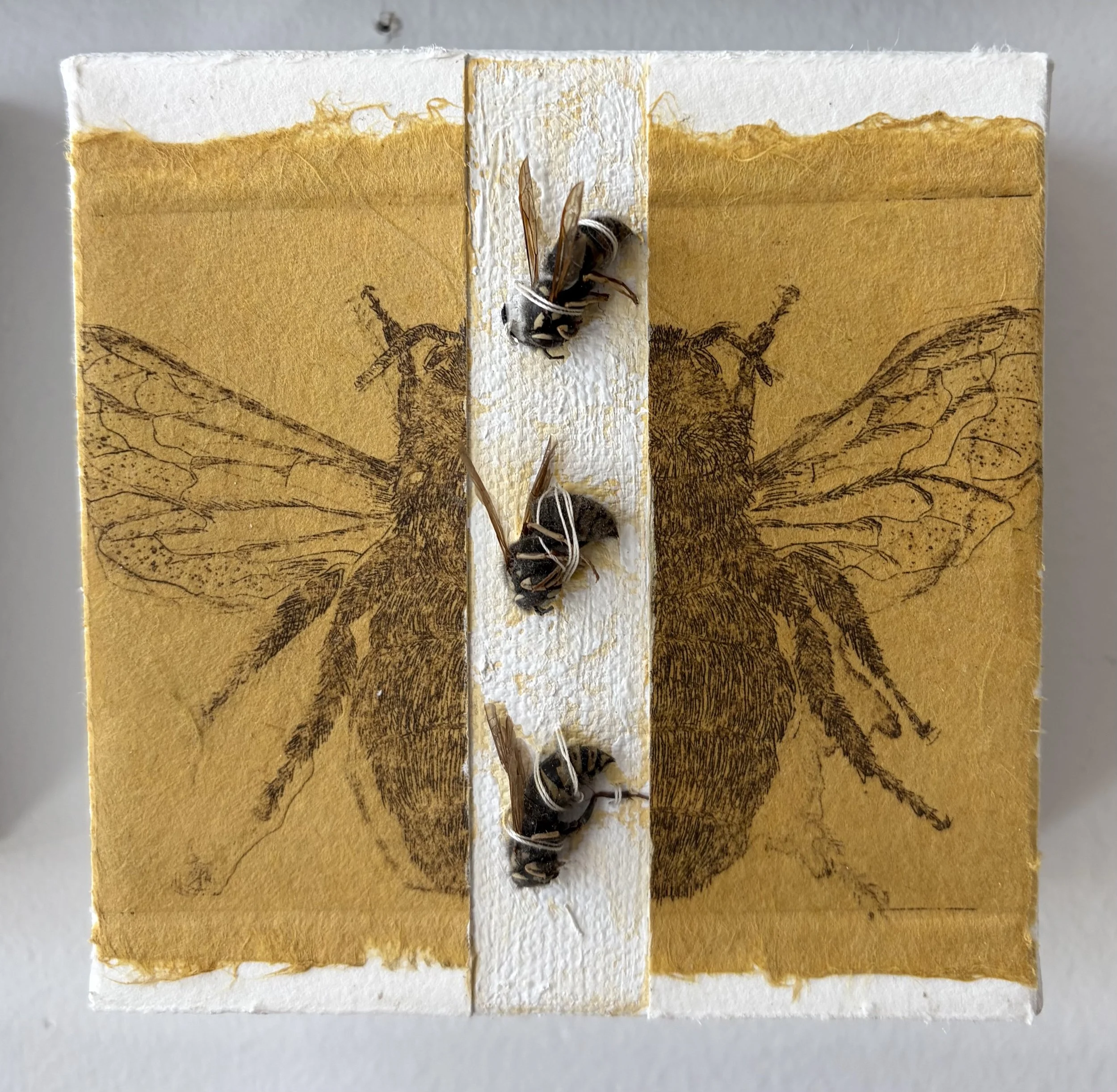 Open, 2026
mixed media, intaglio, chine colle, stitching, found objects, acrylic
4" x 4"
$100