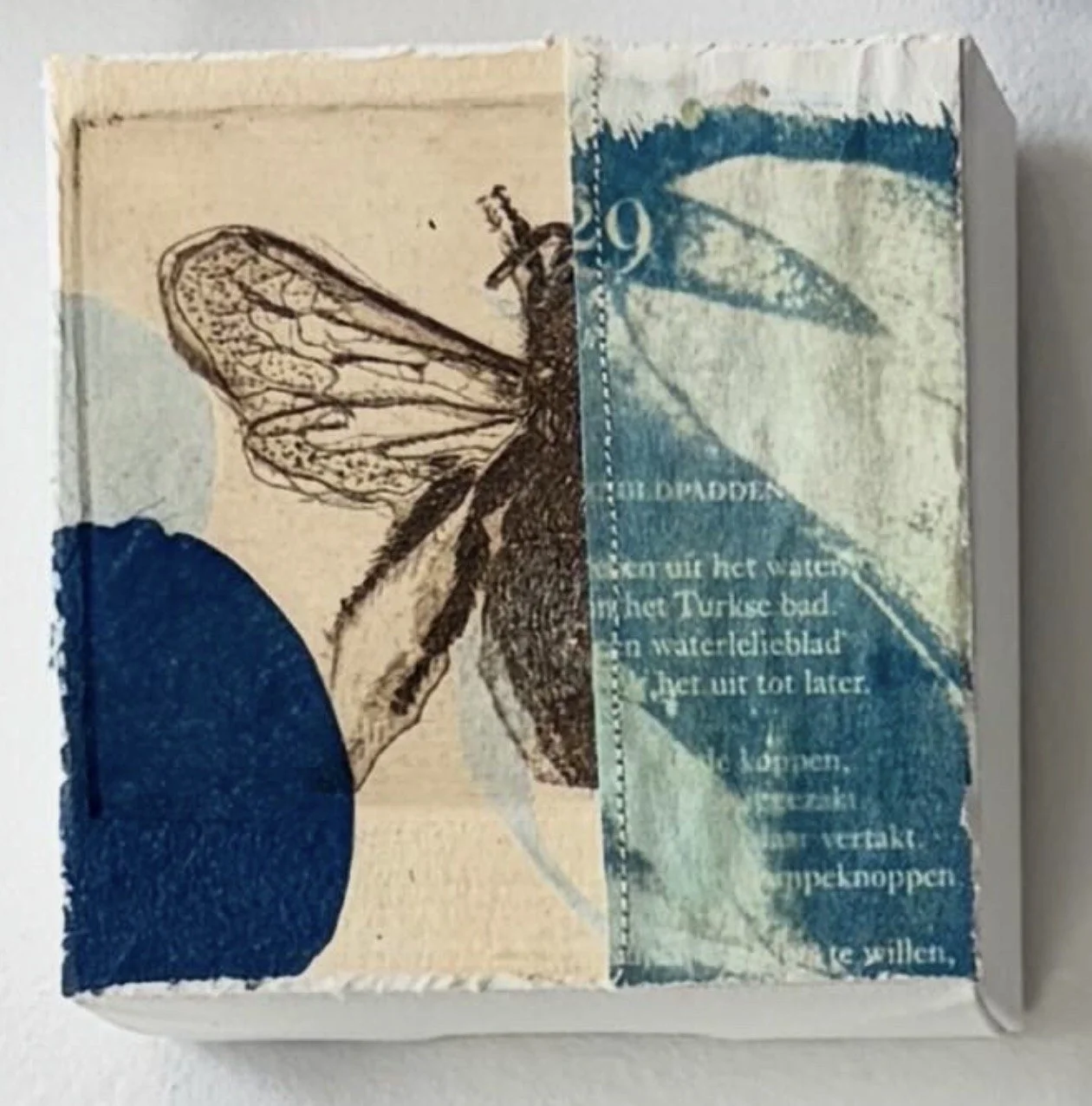 Split, 2026
mixed media, intaglio print, stitching, chine colle, layered cyanotype
4" x 4"
$100
