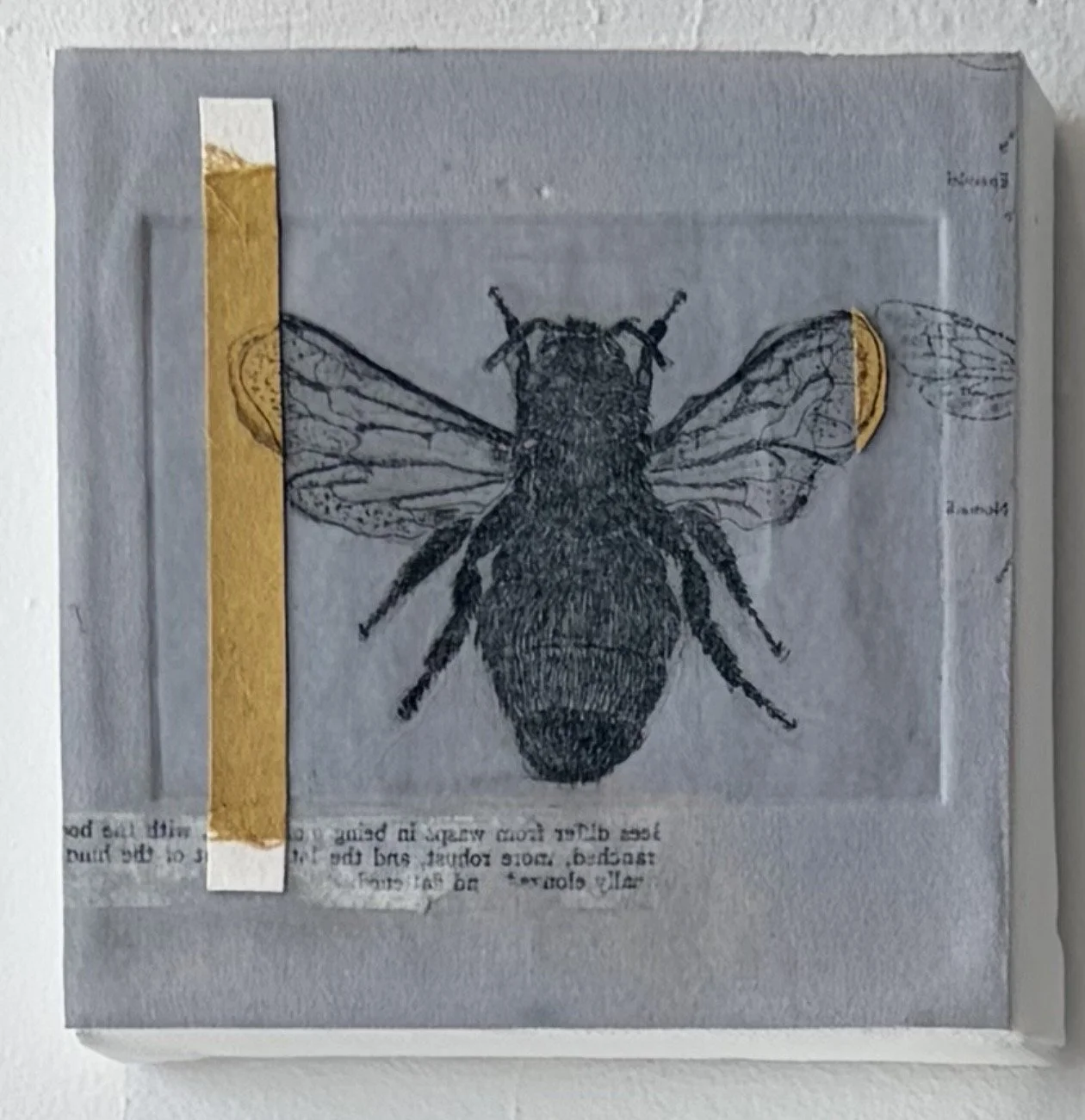 Hymenoptera 2, 2026
mixed media, intaglio print, collage
5" x 5"
$150