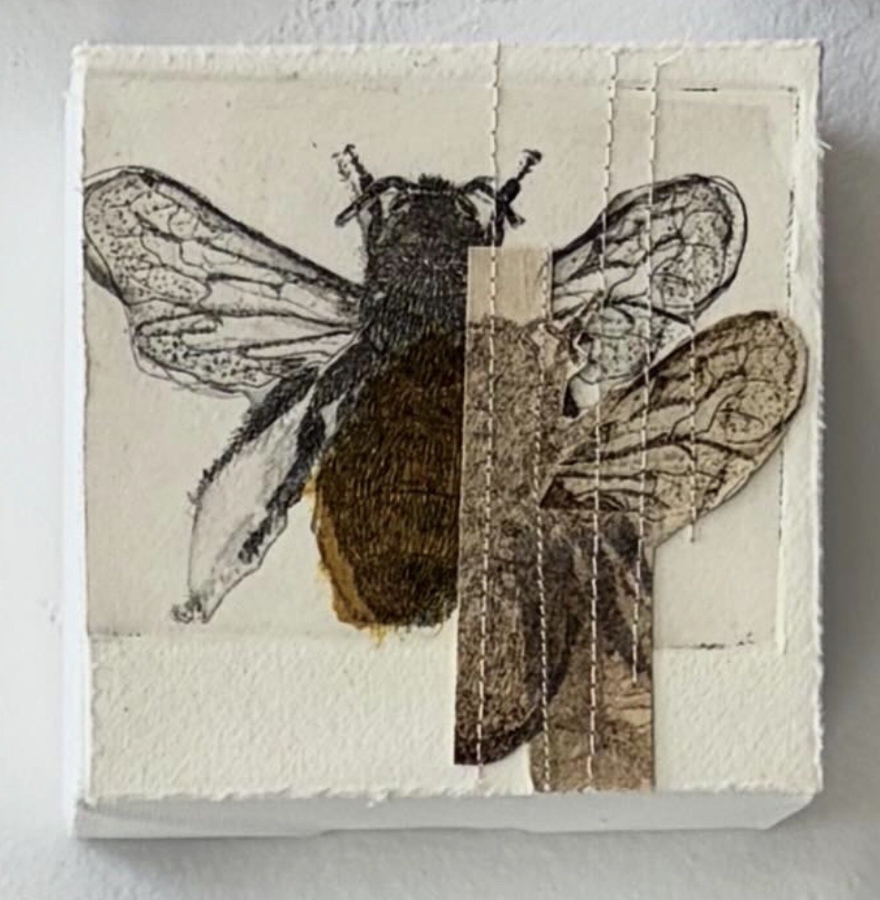 Repeat, 2026
mixed media, intaglio print, stitching, chine colle
4" x 4"
$100