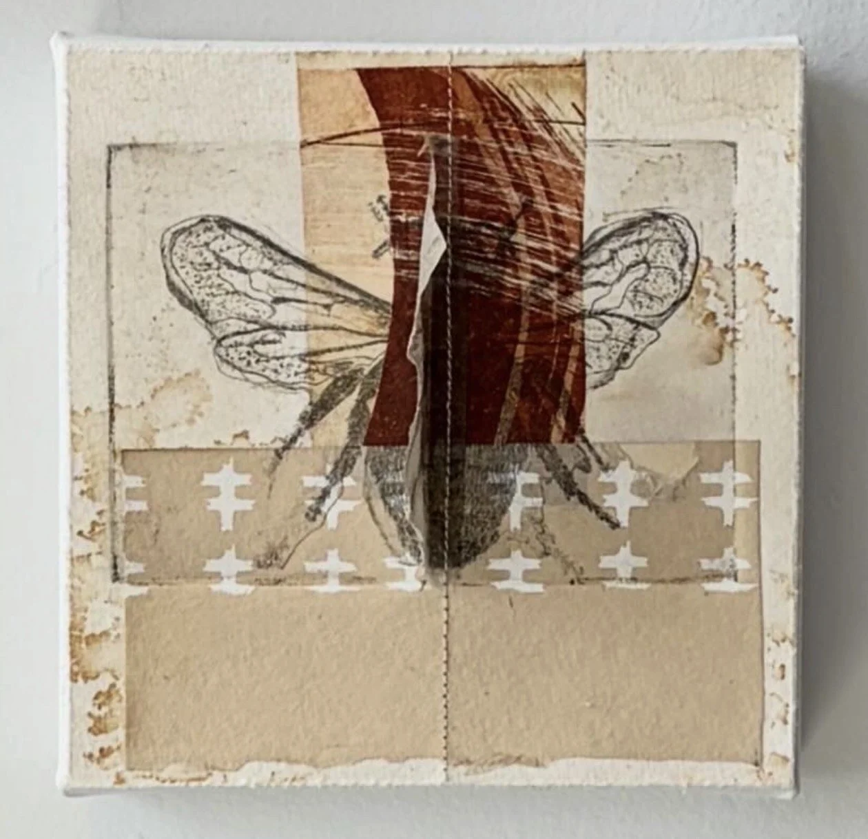 3D Bee, 2026
mixed media, intaglio print, stitching, chine colle
5" x 5"
$150