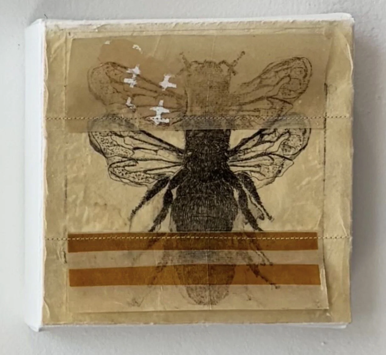 Layered Bees, 2026
mixed media, intaglio print, stitching, chine colle, beeswax
5" x 5"
$150
