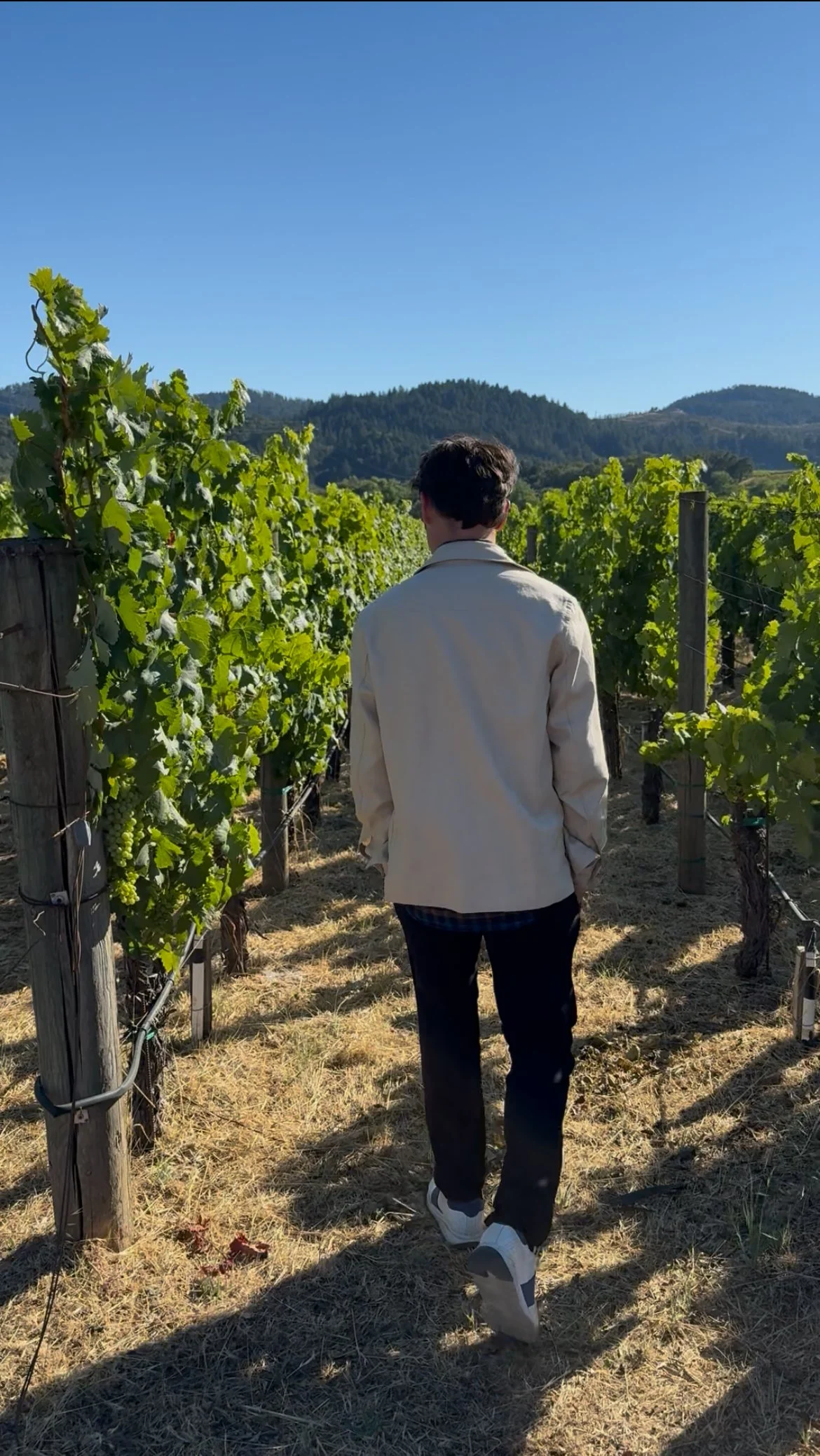 Why We Created Luca Italian Experiences