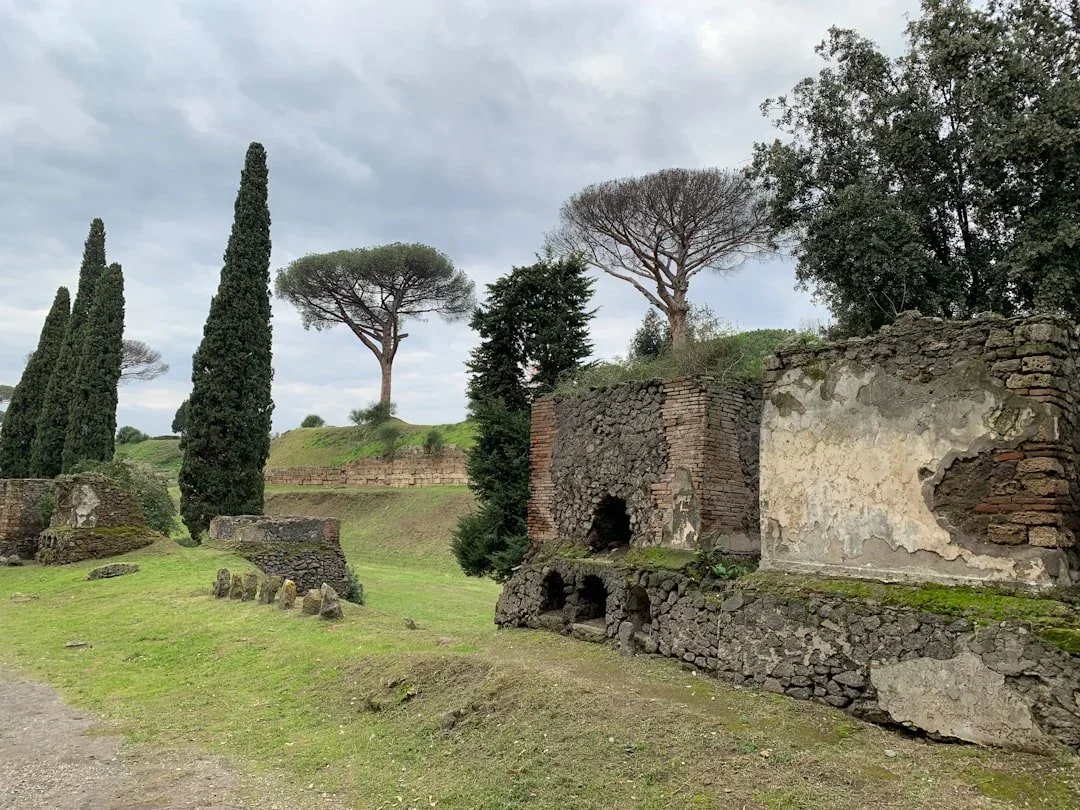 Wine and Monuments: Everyday in Italy, Extraordinary in California