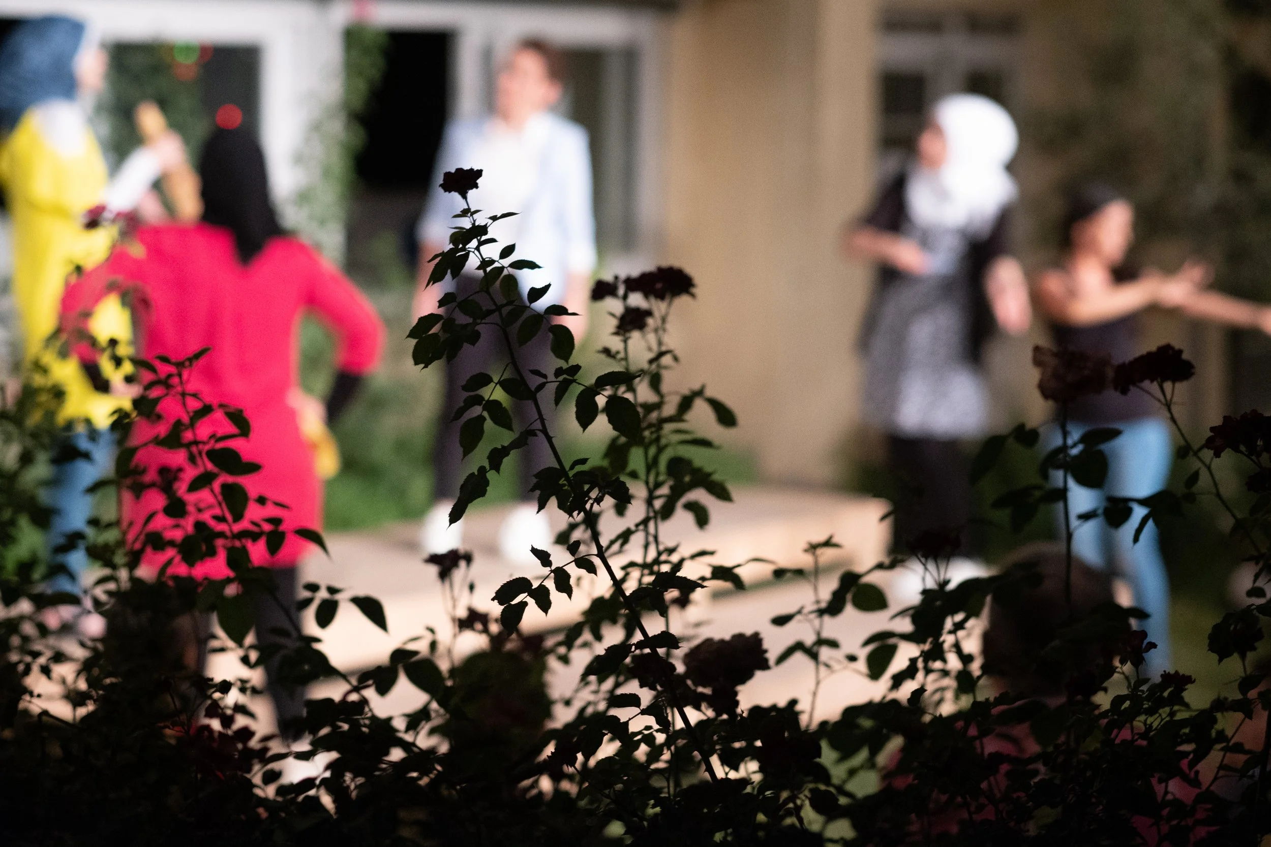 برلمان النساء