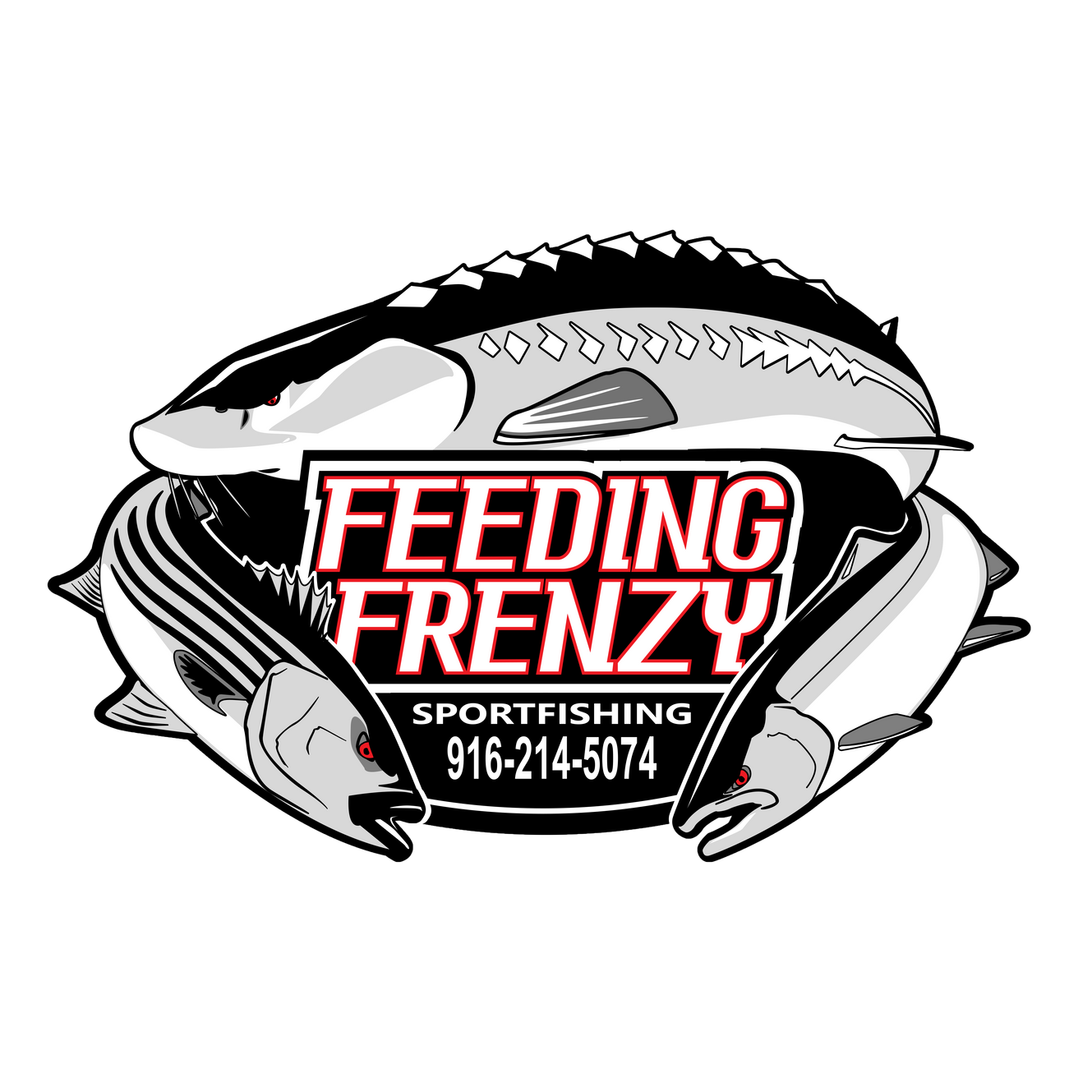 Logo for Feeding Frenzy Sportfishing featuring a stylized illustration of several fish surrounding a black background with red and white text.