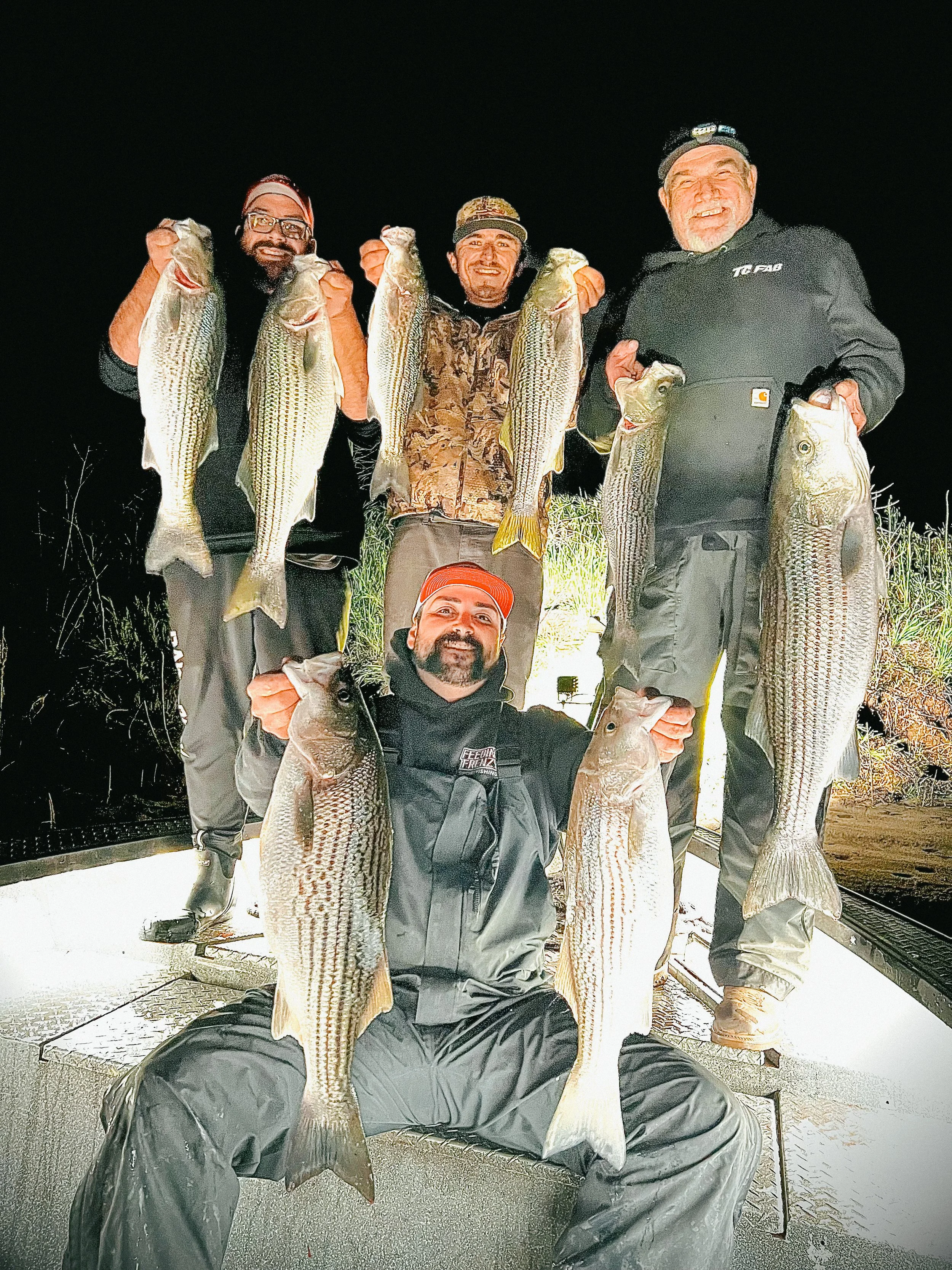 Four men on a boat at night displaying large striped bass fish they caught, with the men smiling and holding the fish for a group photo.