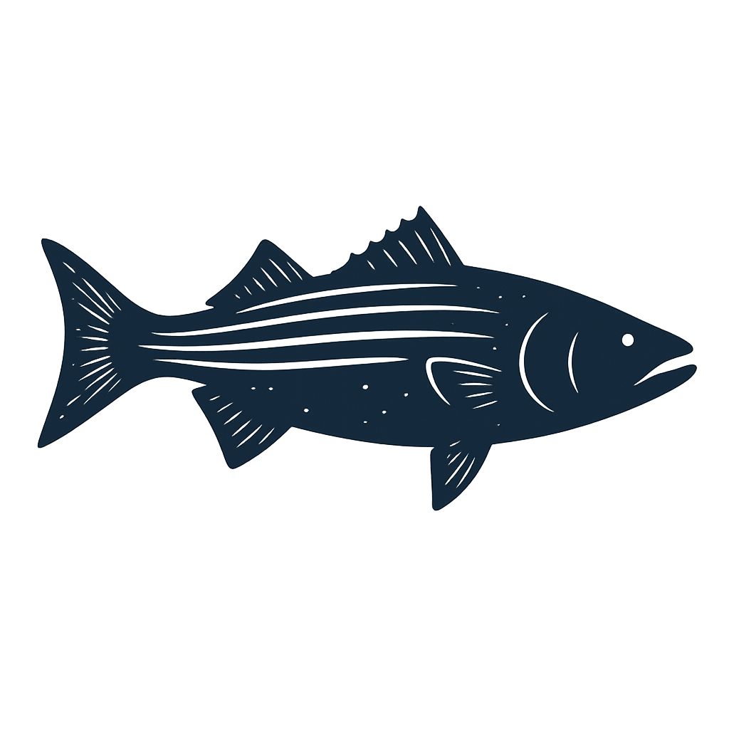Simple illustration of a fish with fins and gills.