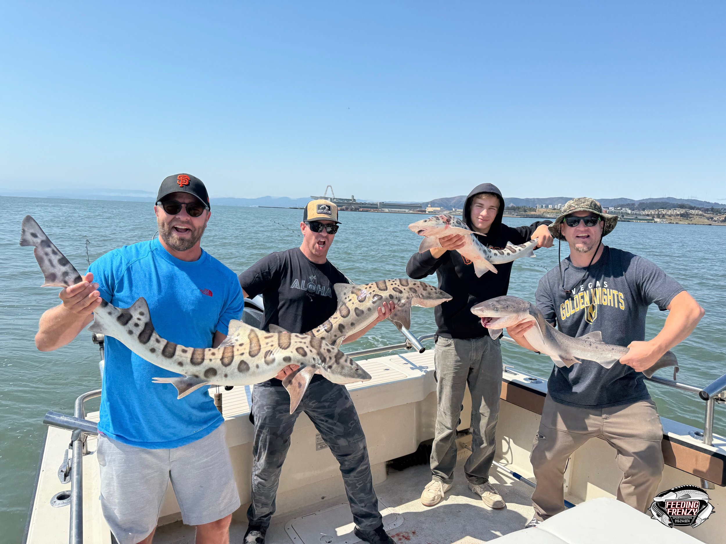 Four men on a boat holding various fish and sharks, smiling and celebrating their catch, with water and distant land in the background.