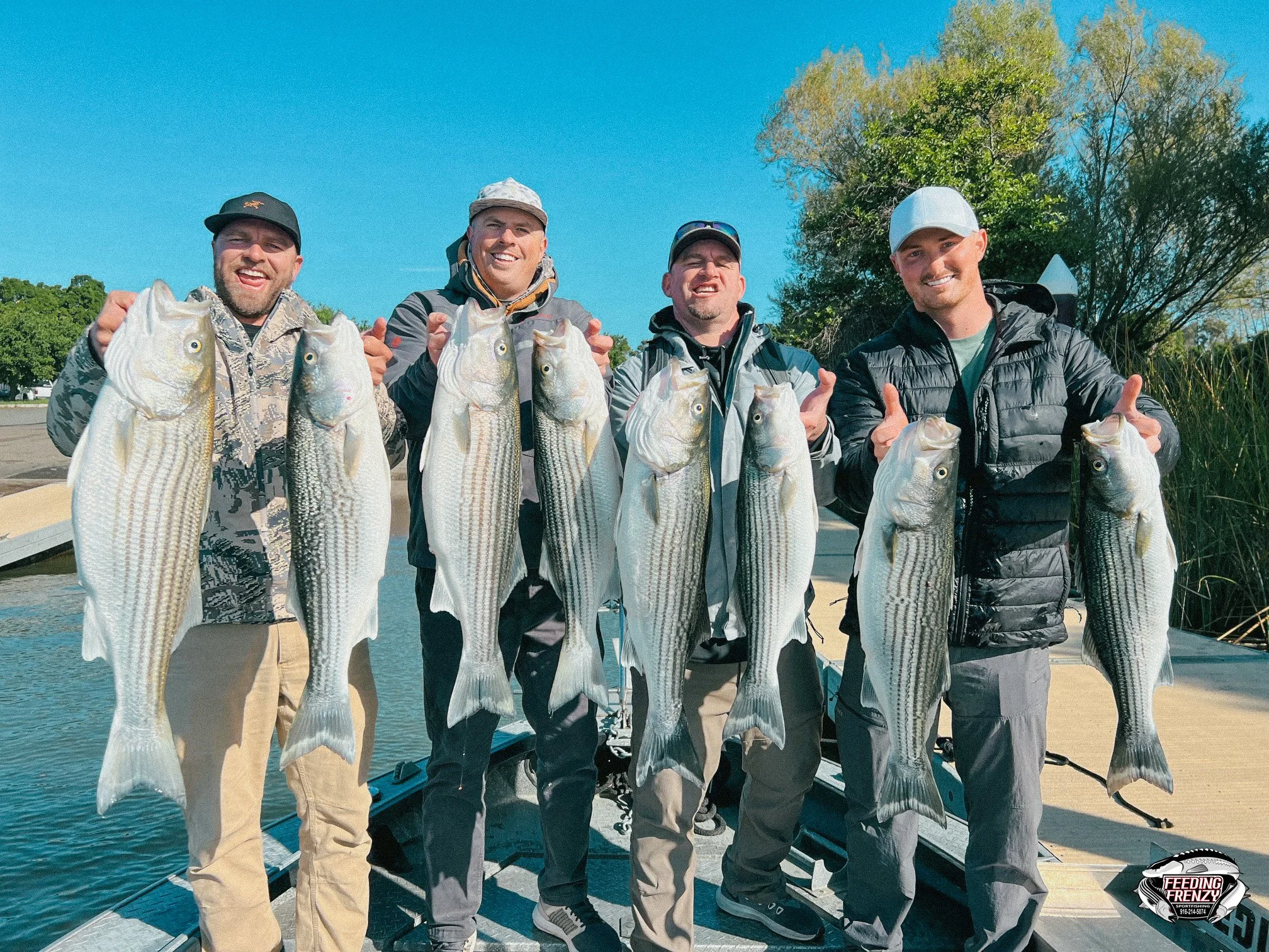 Group of five men holding large striped bass fish on a dock near water, with trees and blue sky in the background, smiling at the camera.