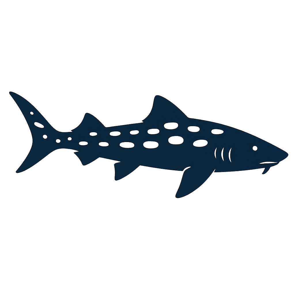Leopard Shark Illustration