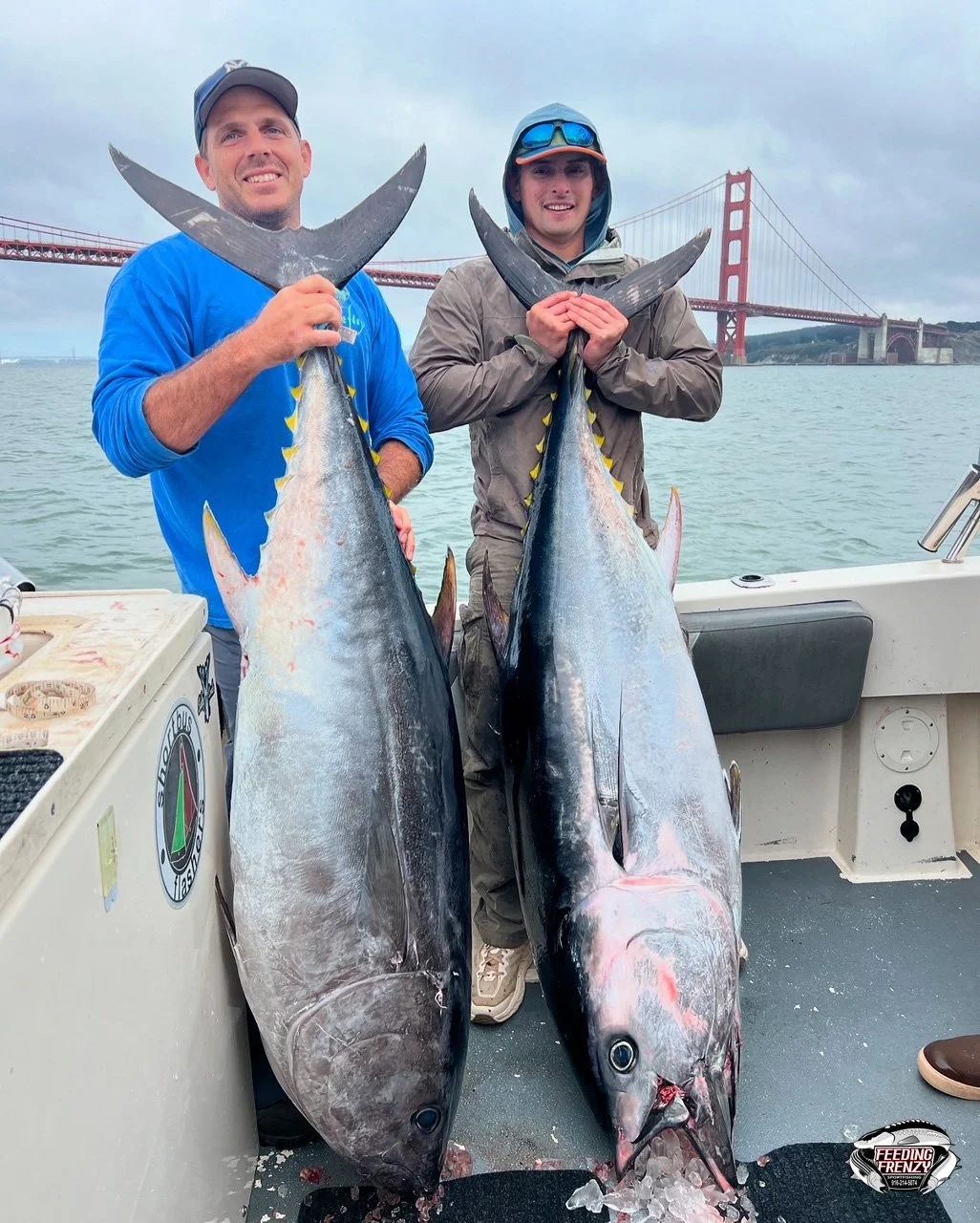 Two men on a boat holding large yellowfin tuna fish with the Golden Gate Bridge in the background.