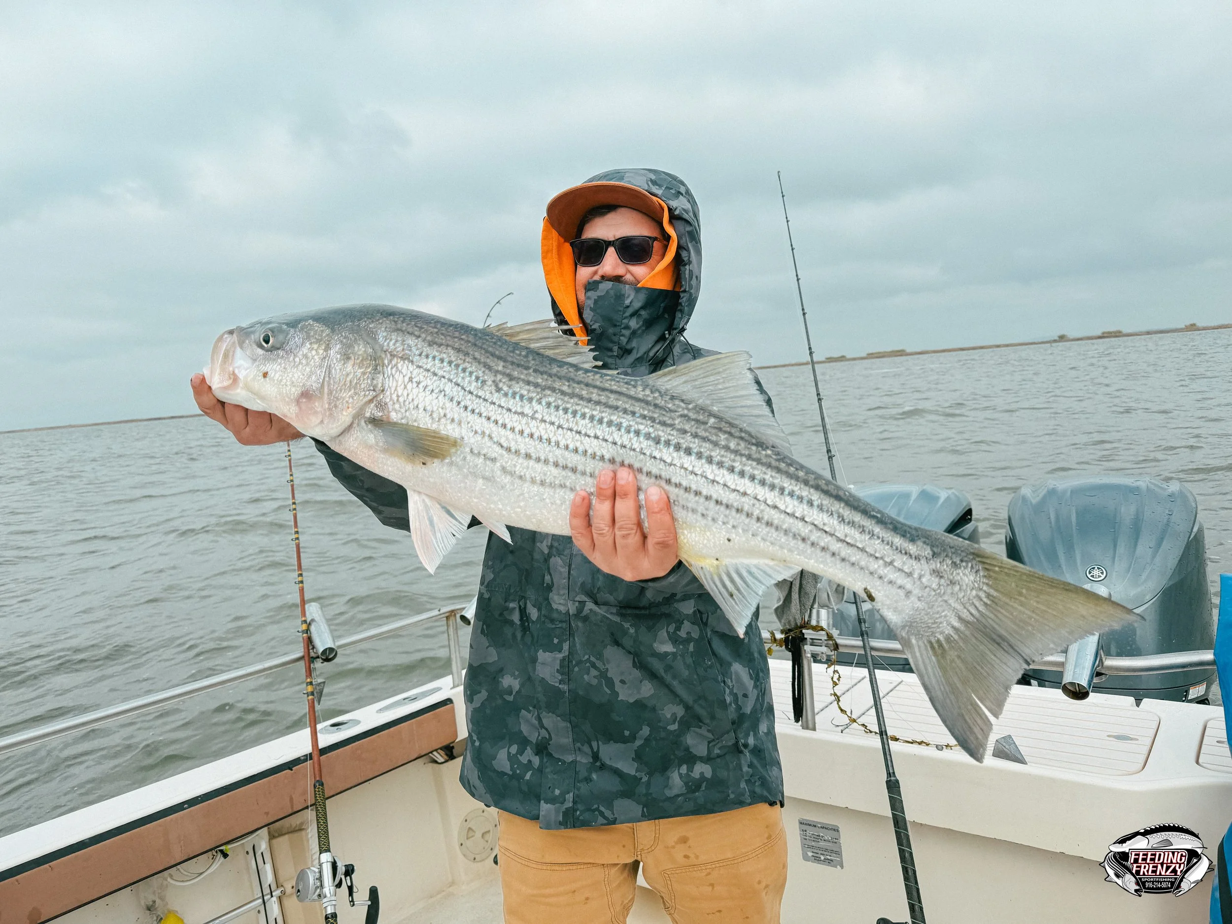 A man in sunglasses and a camouflaged jacket holding a large striped bass on a boat in a gray cloudy sky.