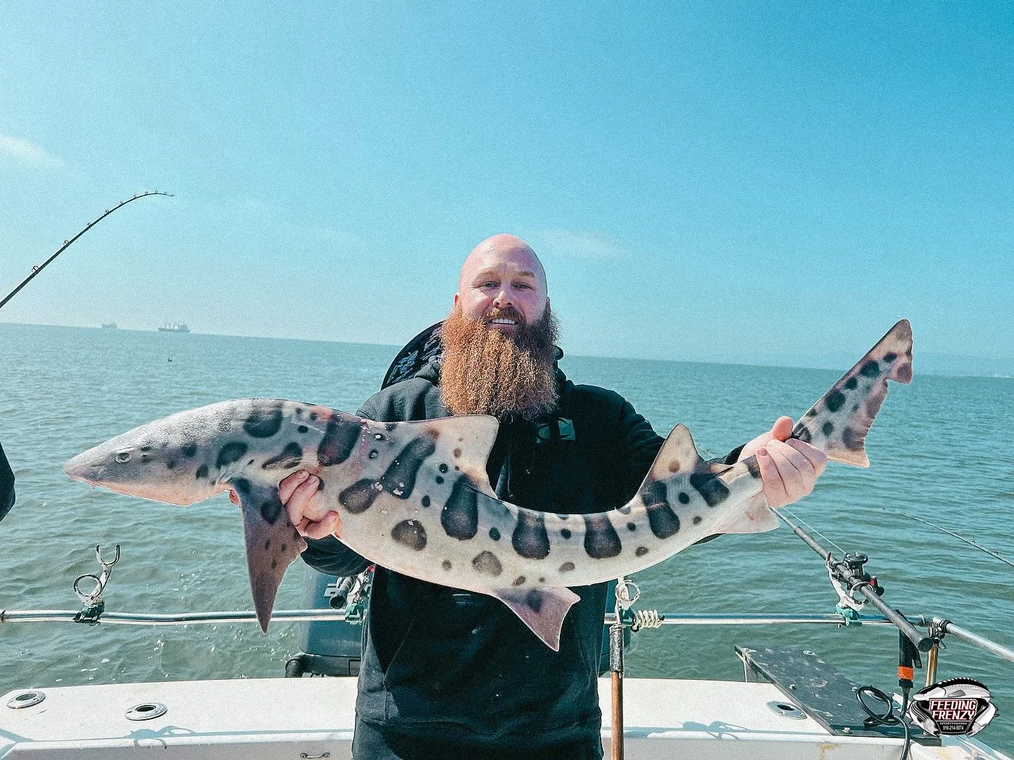 A bearded man in black clothing holding a spotted shark on a fishing boat at sea with a clear blue sky in the background.