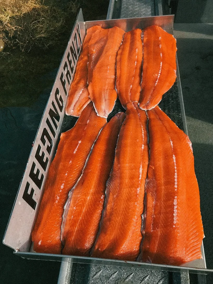 Fresh salmon fillets arranged in a display tray at a fish market.