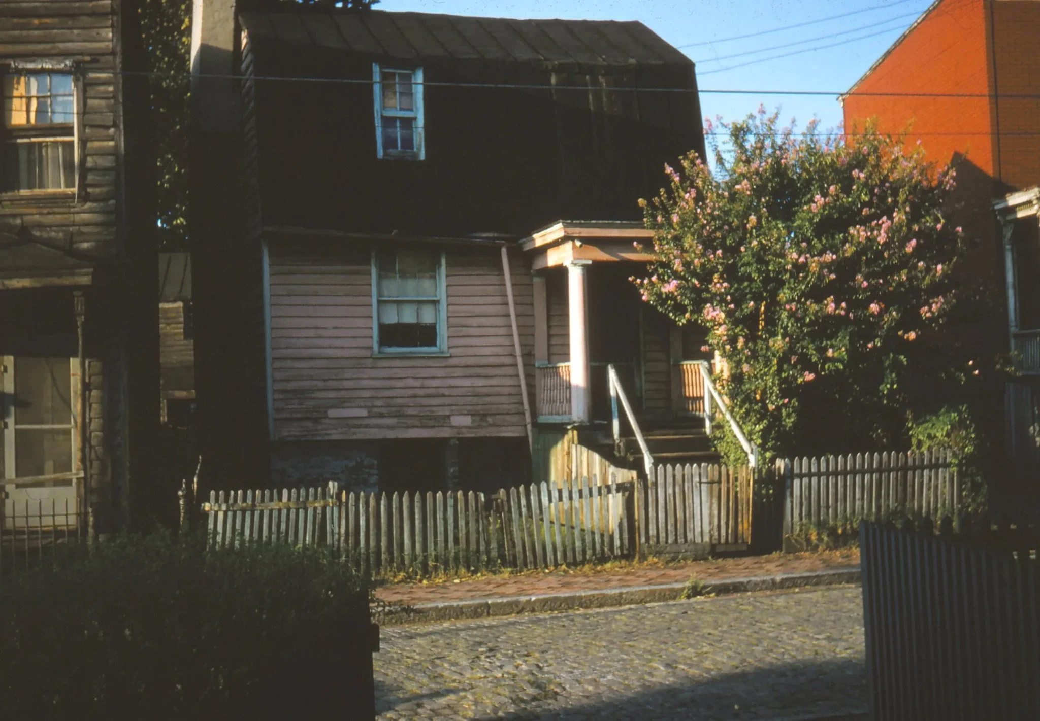 The Skipwith-Roper Homecoming-Gallery_30.jpg