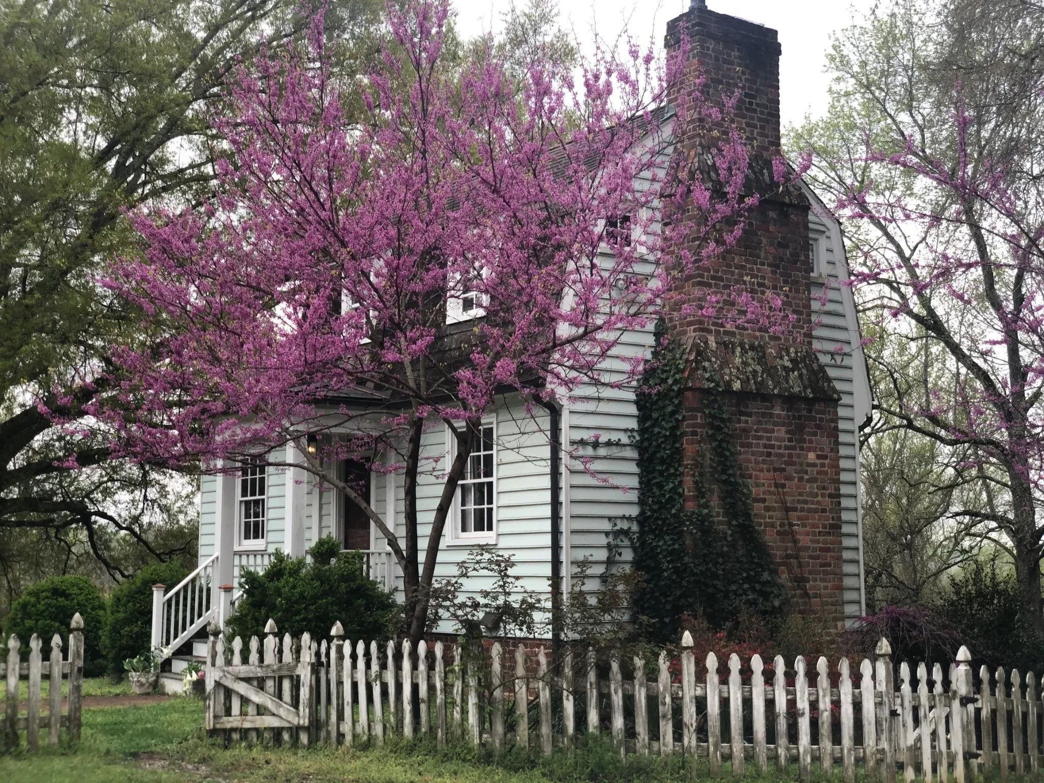 The Skipwith-Roper Homecoming-Gallery_33.jpg