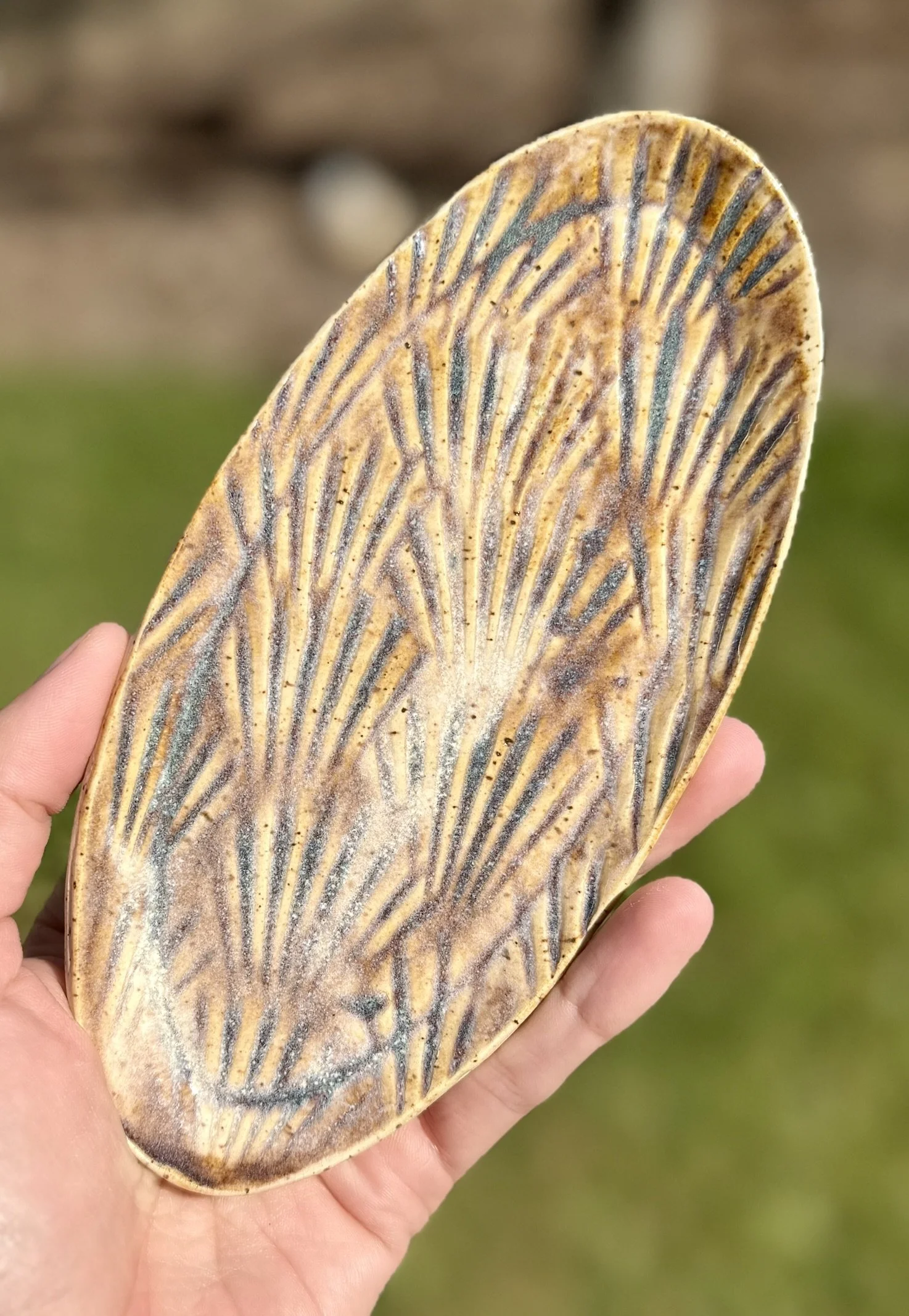 Shell Tray