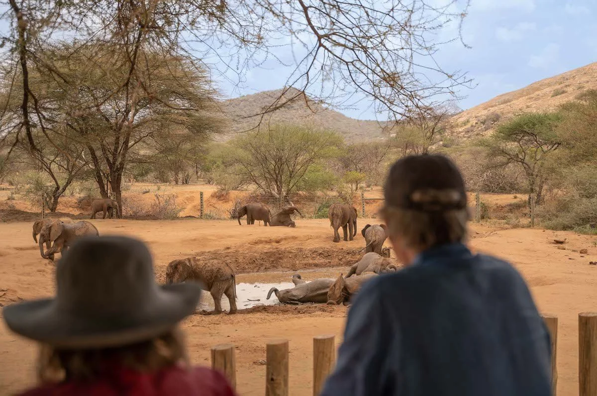 Africa Tours and Safaris