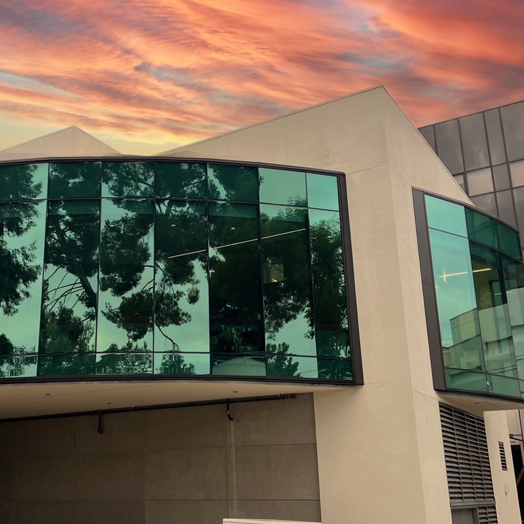 Modern building with large green-tinted glass windows reflecting trees, against a colorful sunset sky.