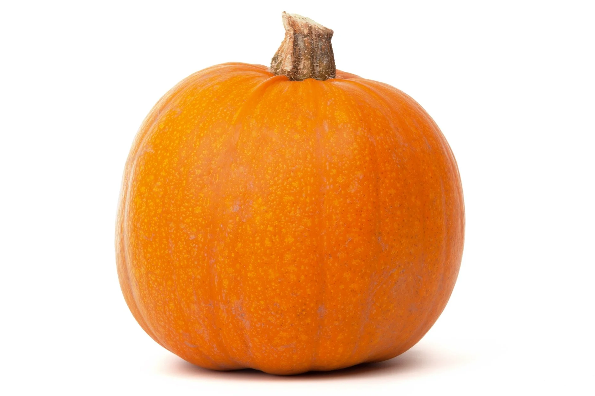 pumpkin.jpeg